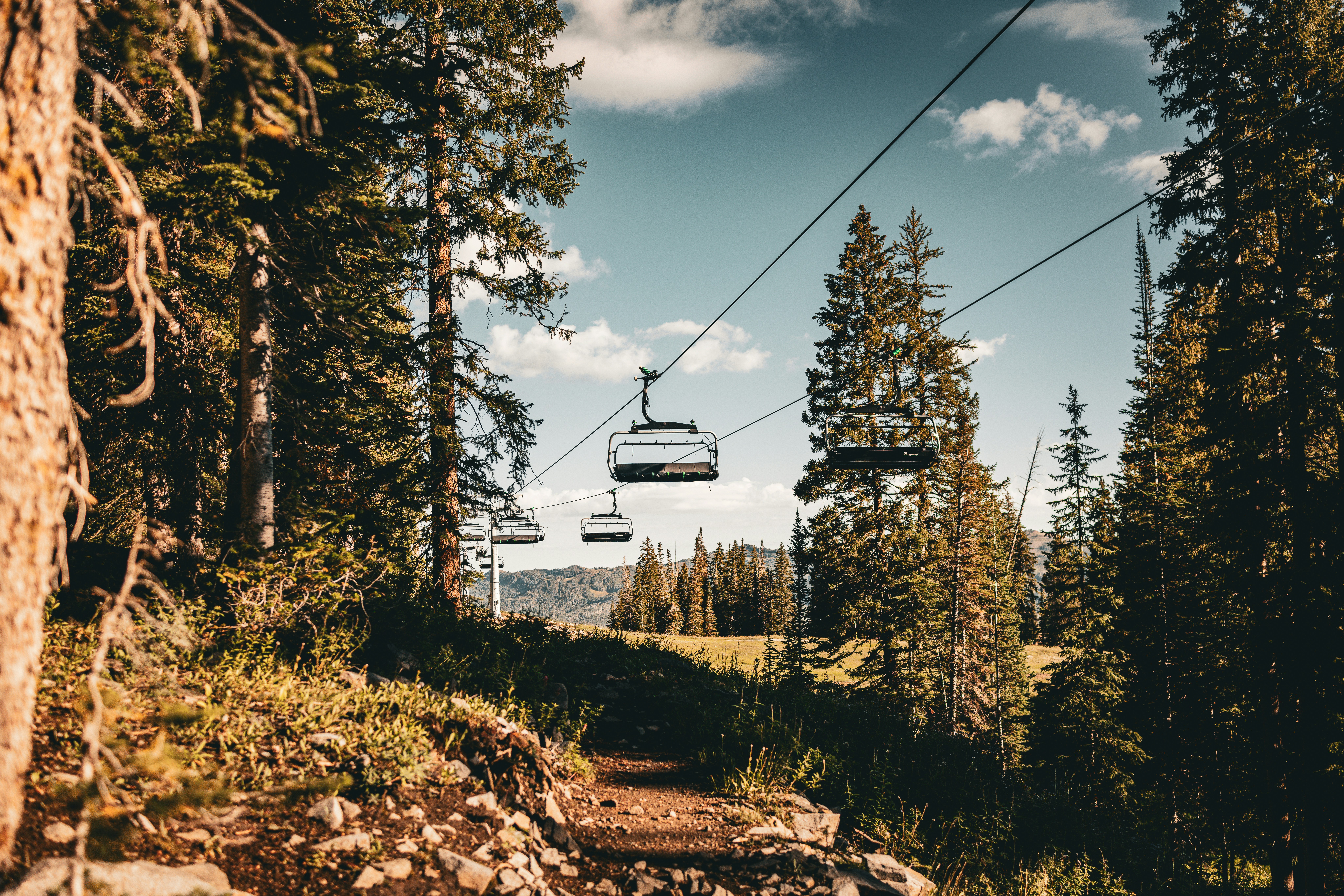 Photo by thetrentonsmith