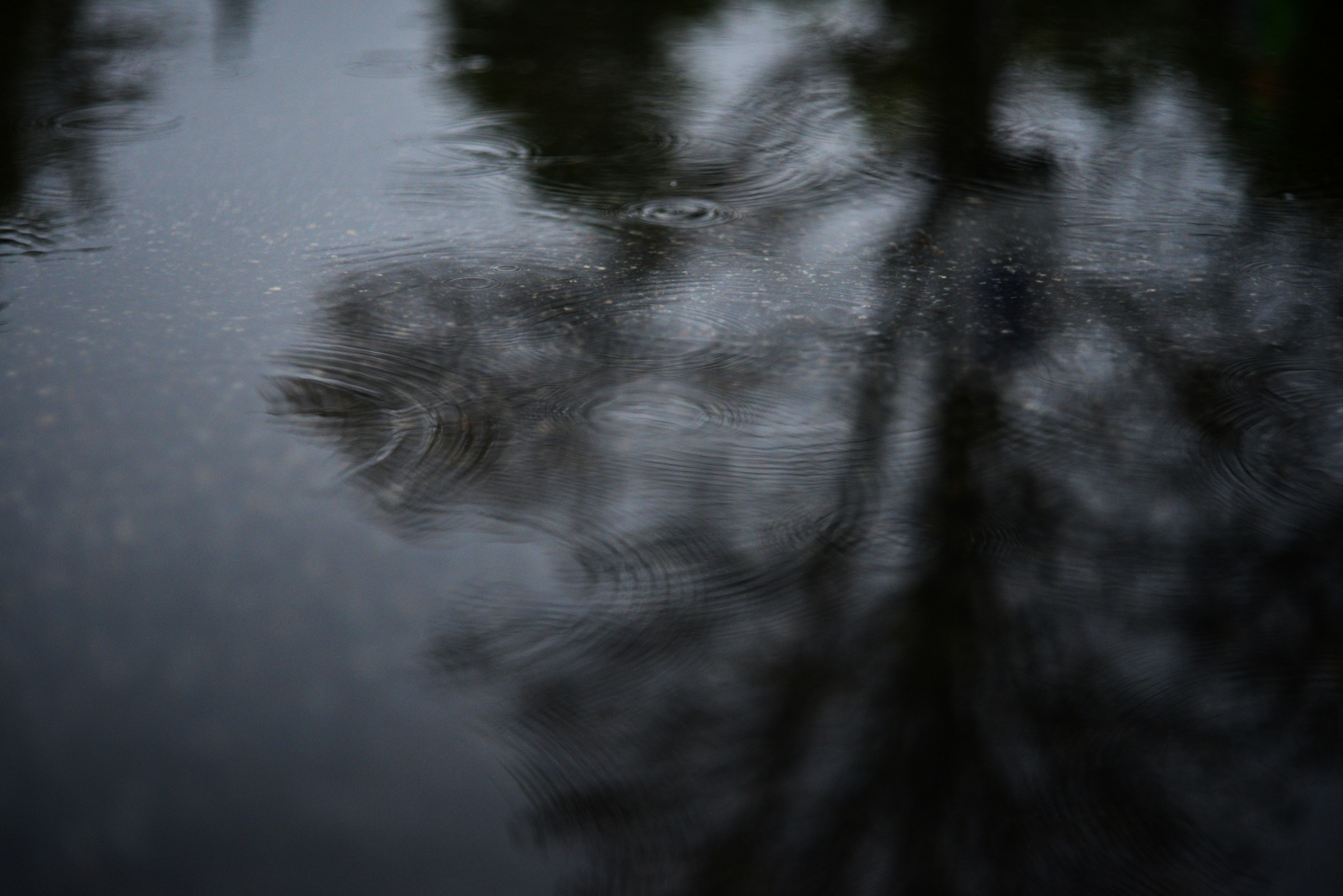 Photo by cherstve_pechivo