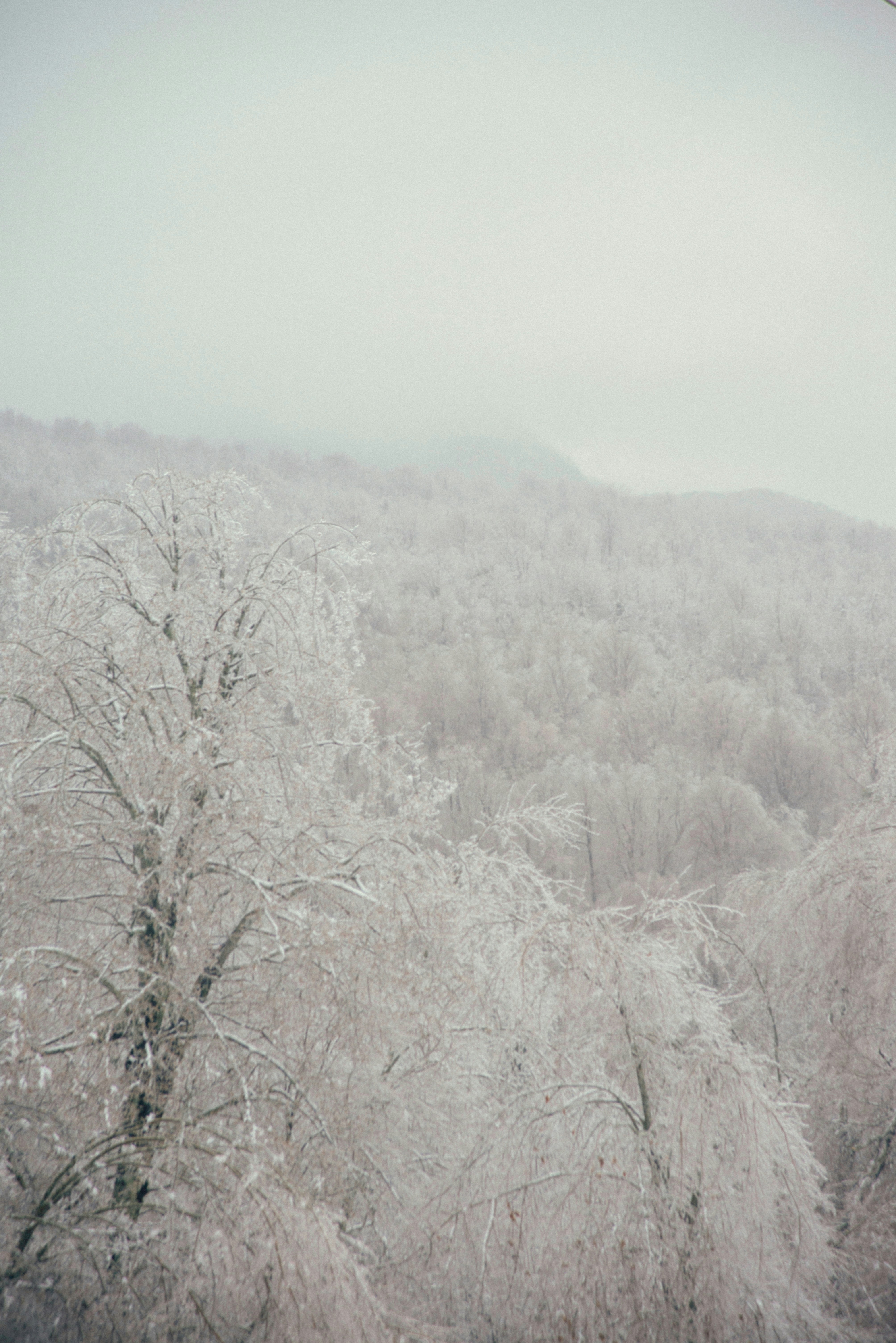 Photo by dentrushtin