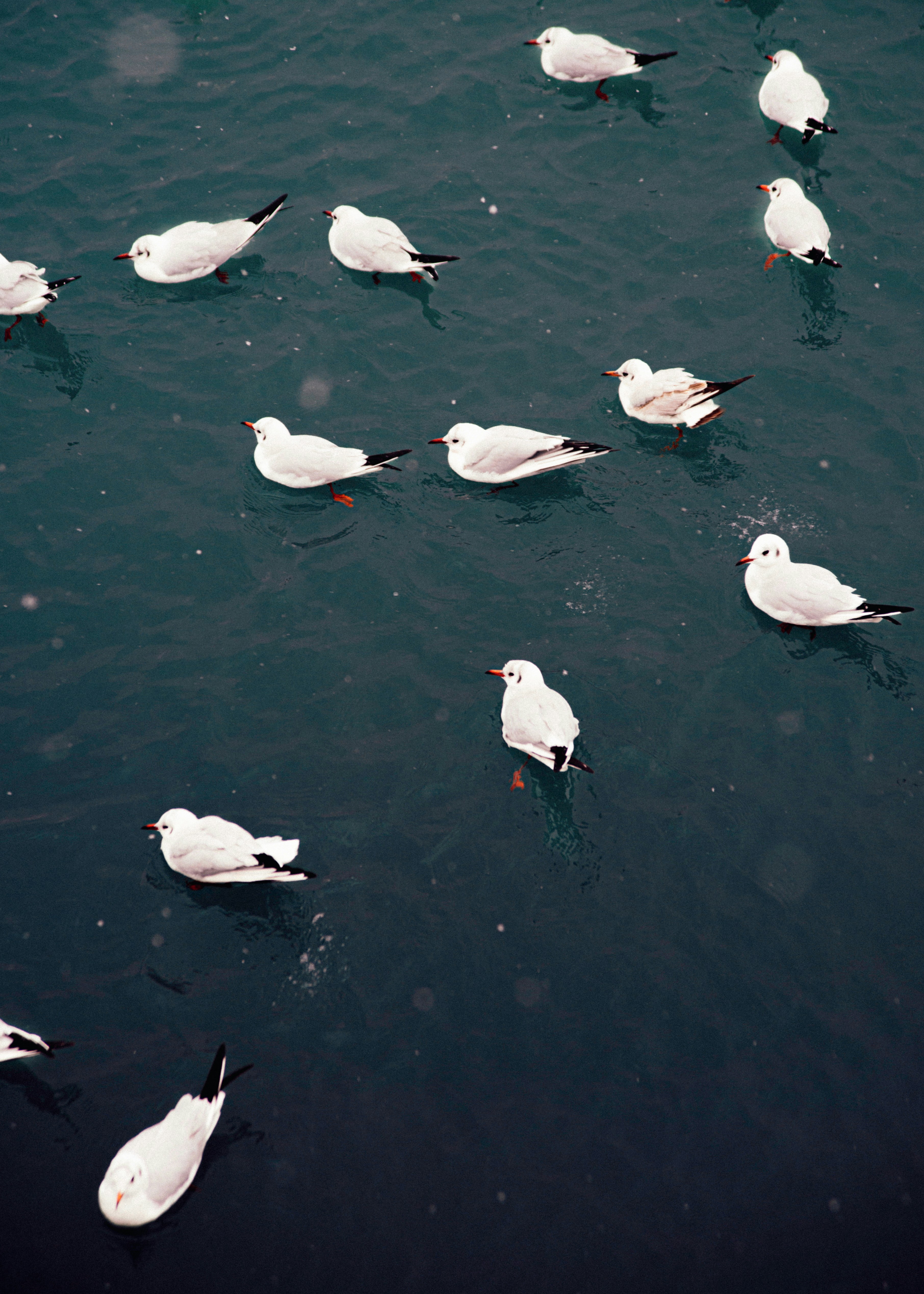 Photo by dentrushtin