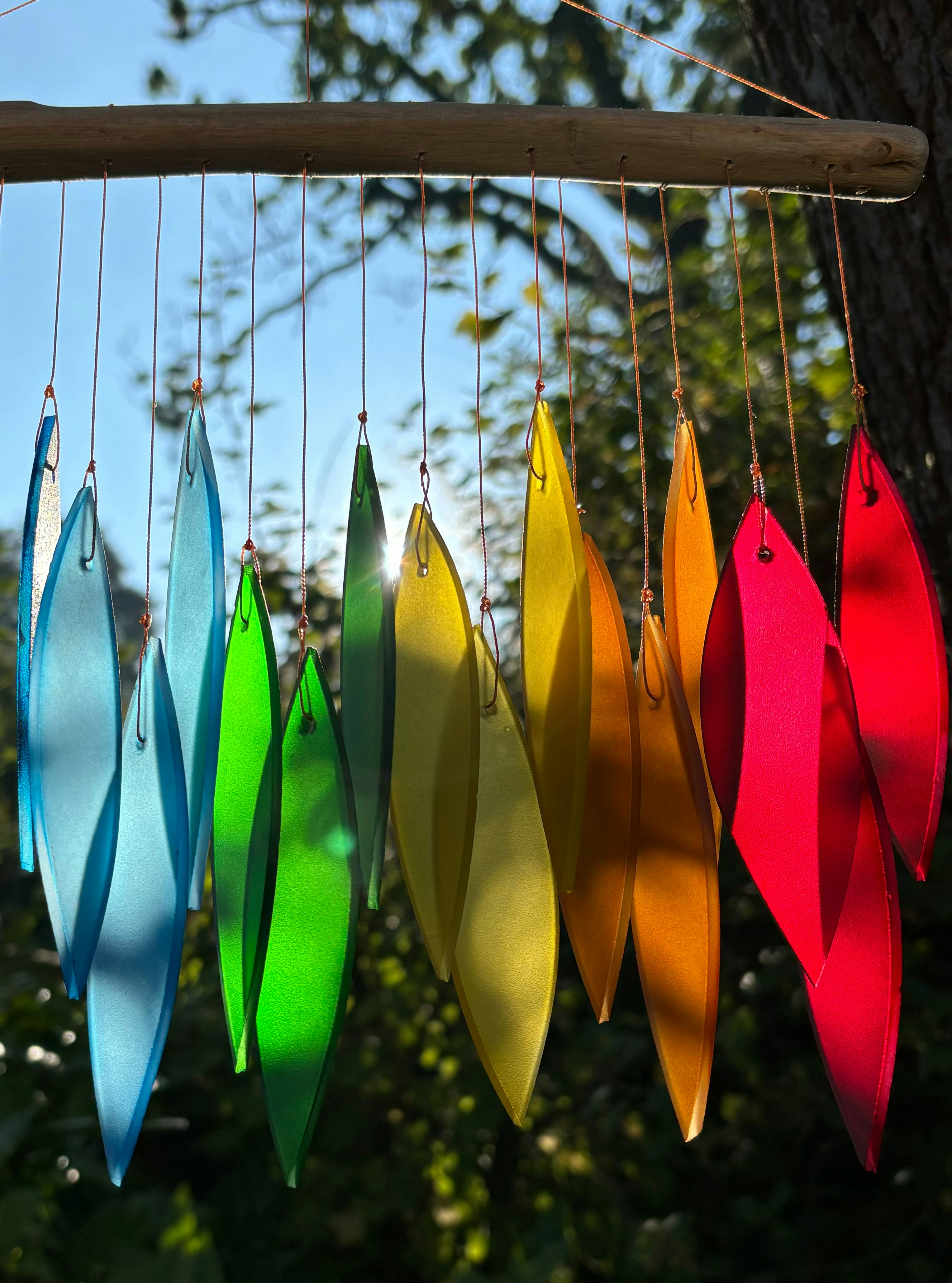 Photo by msmelaniesykes