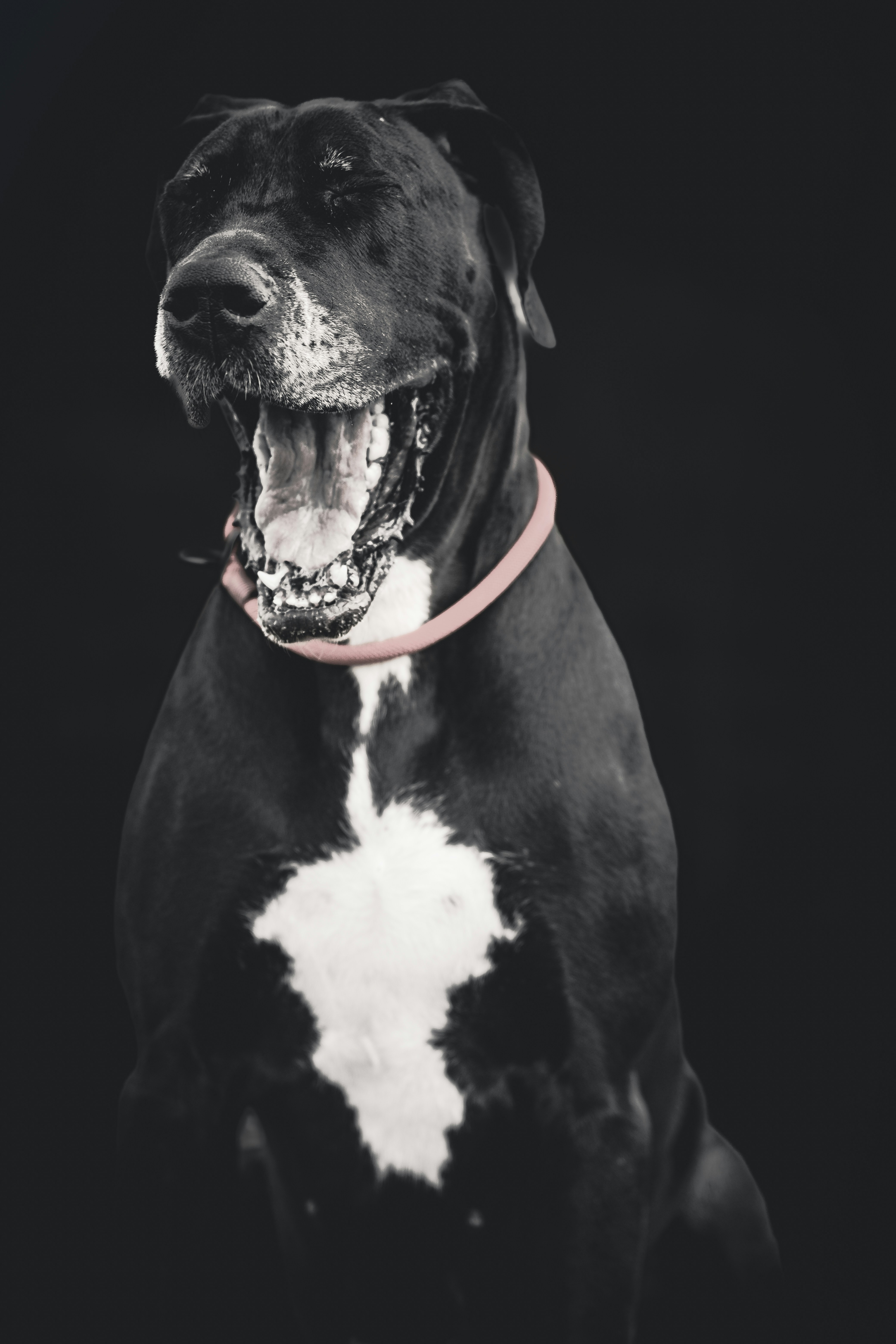 Photo by lukasparnican