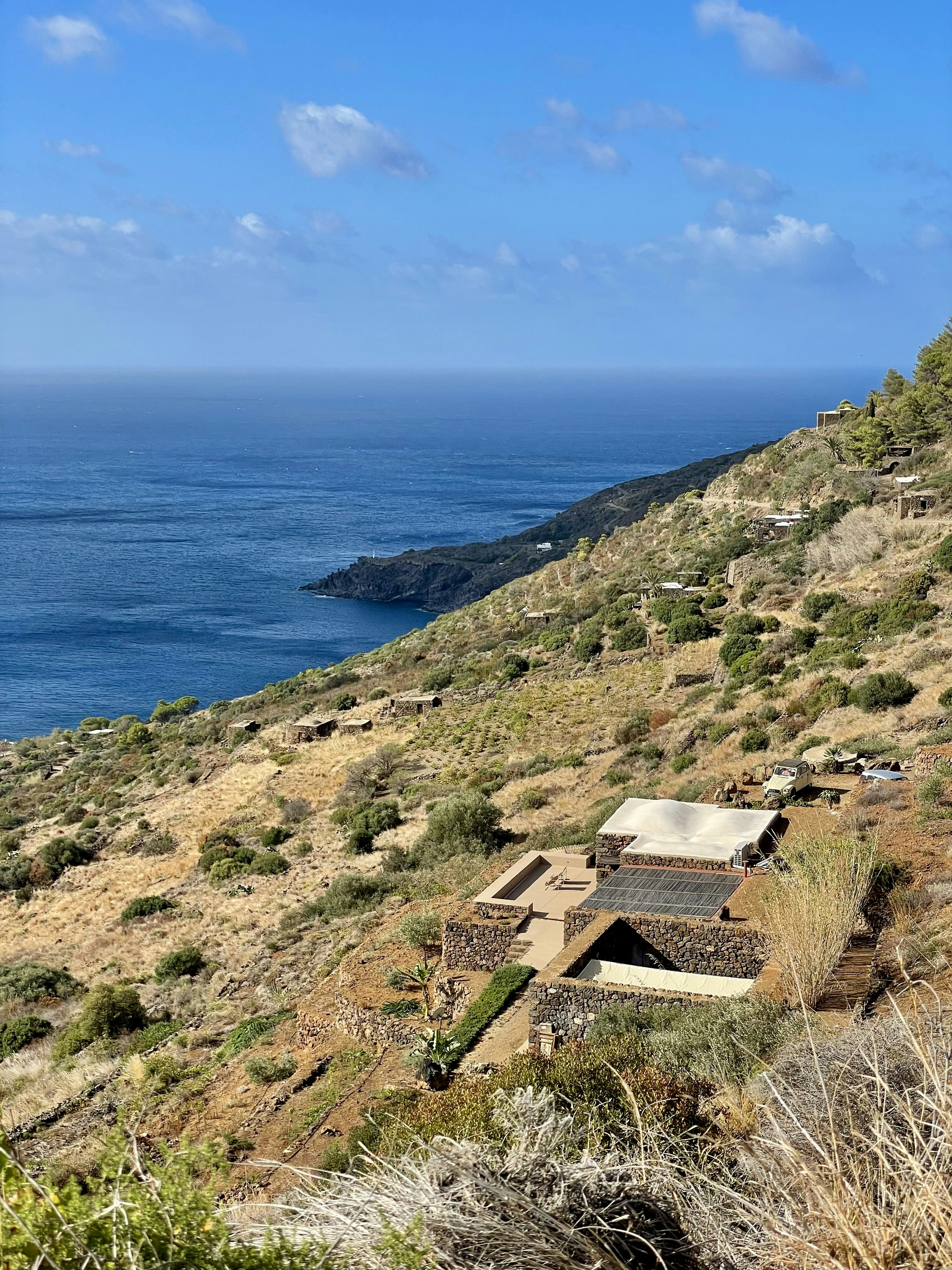 New Imaging Tool Reveals Changes in Cell Structures