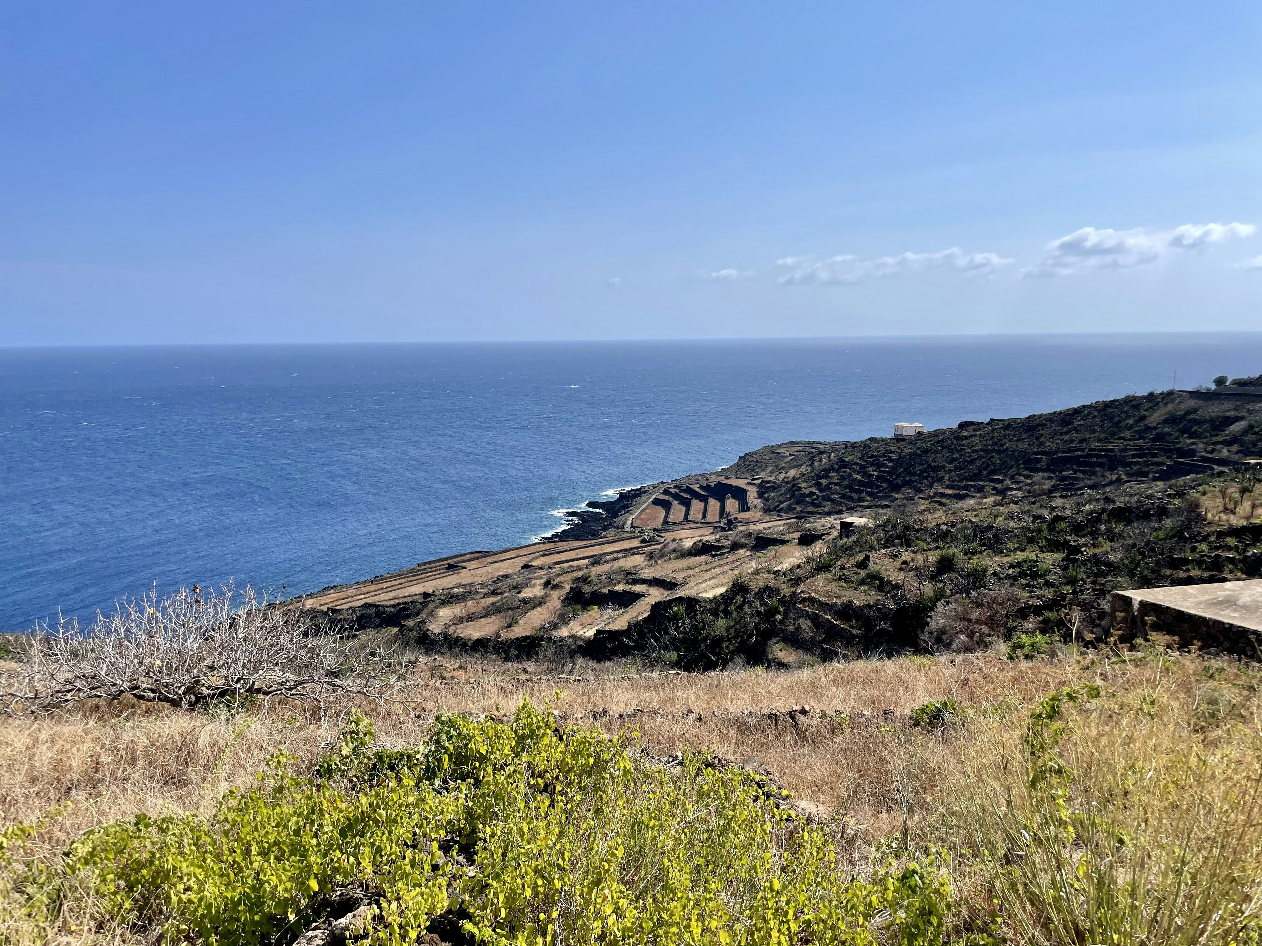 A scenic view of the ocean from a hill