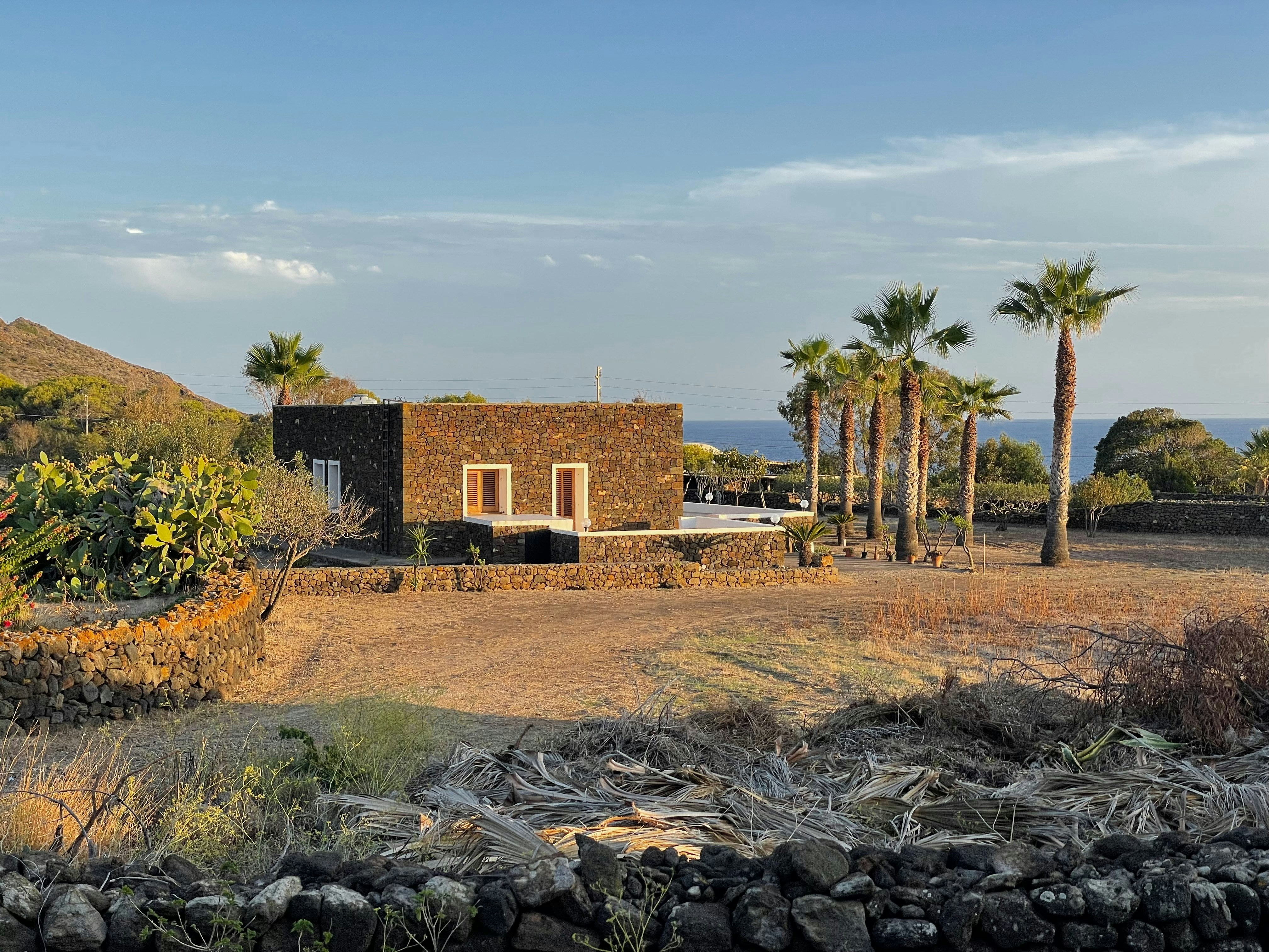 Understanding Blood Vessel Health in MS Patients