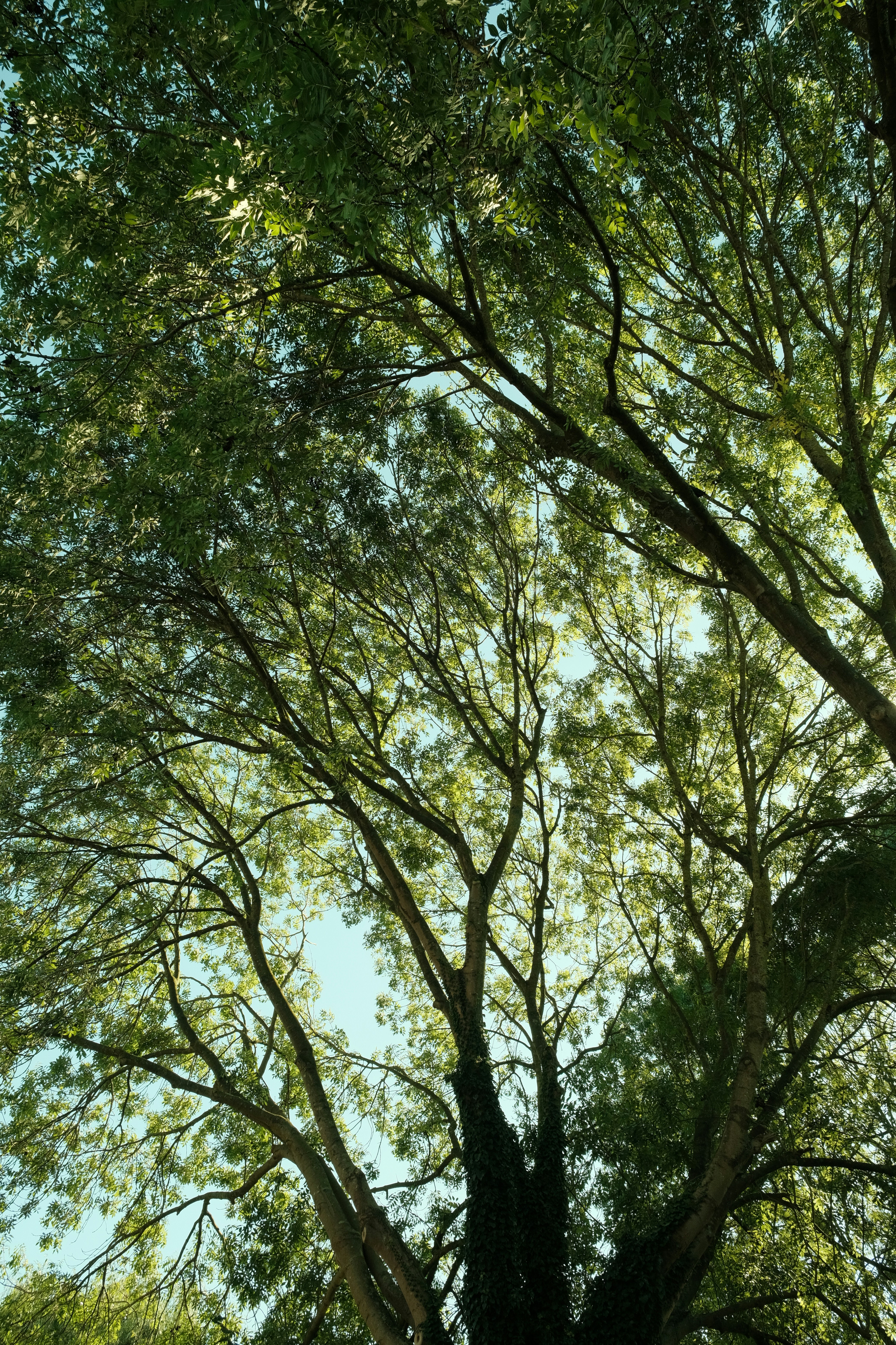 Photo by kyantijhuis