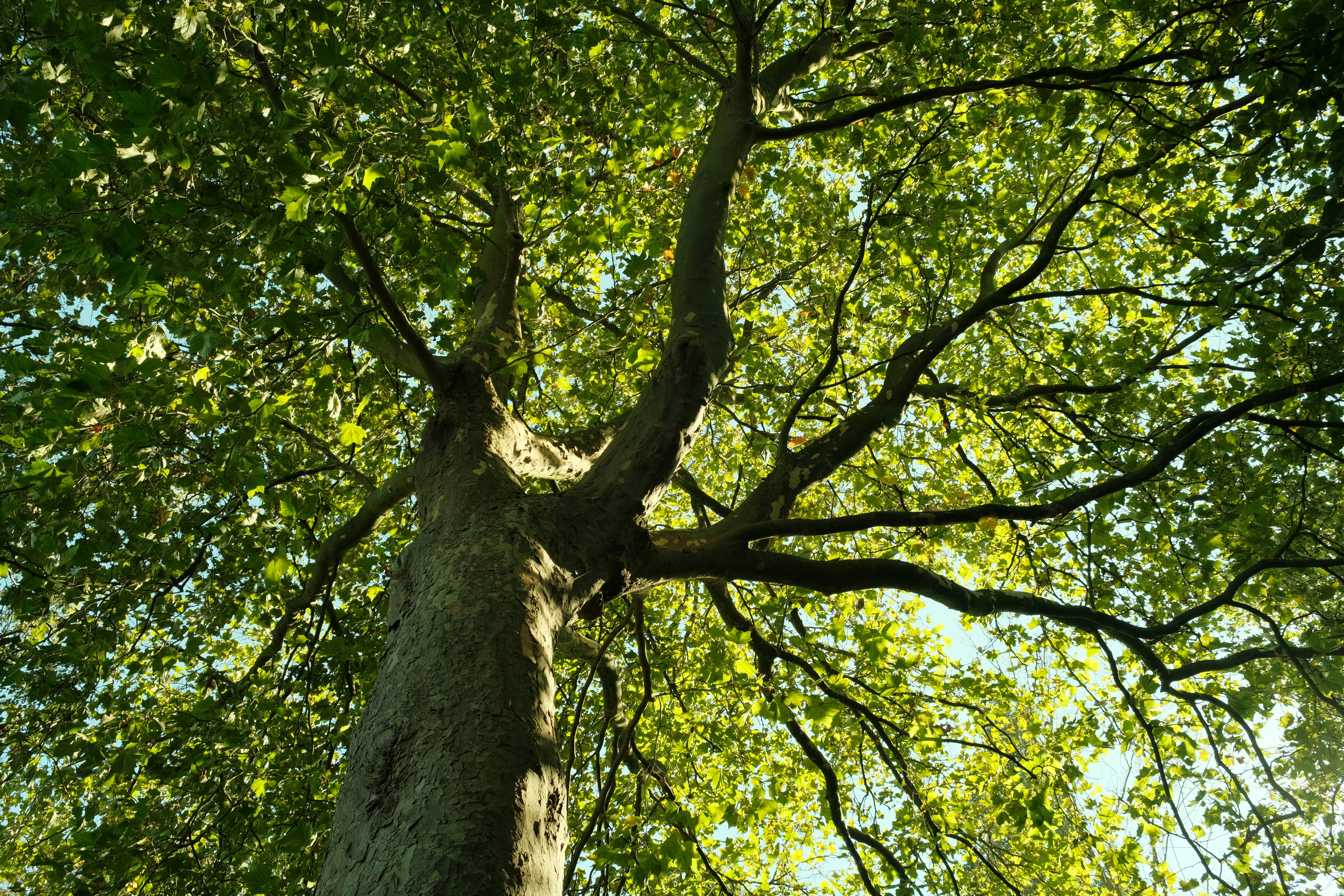 Photo by kyantijhuis