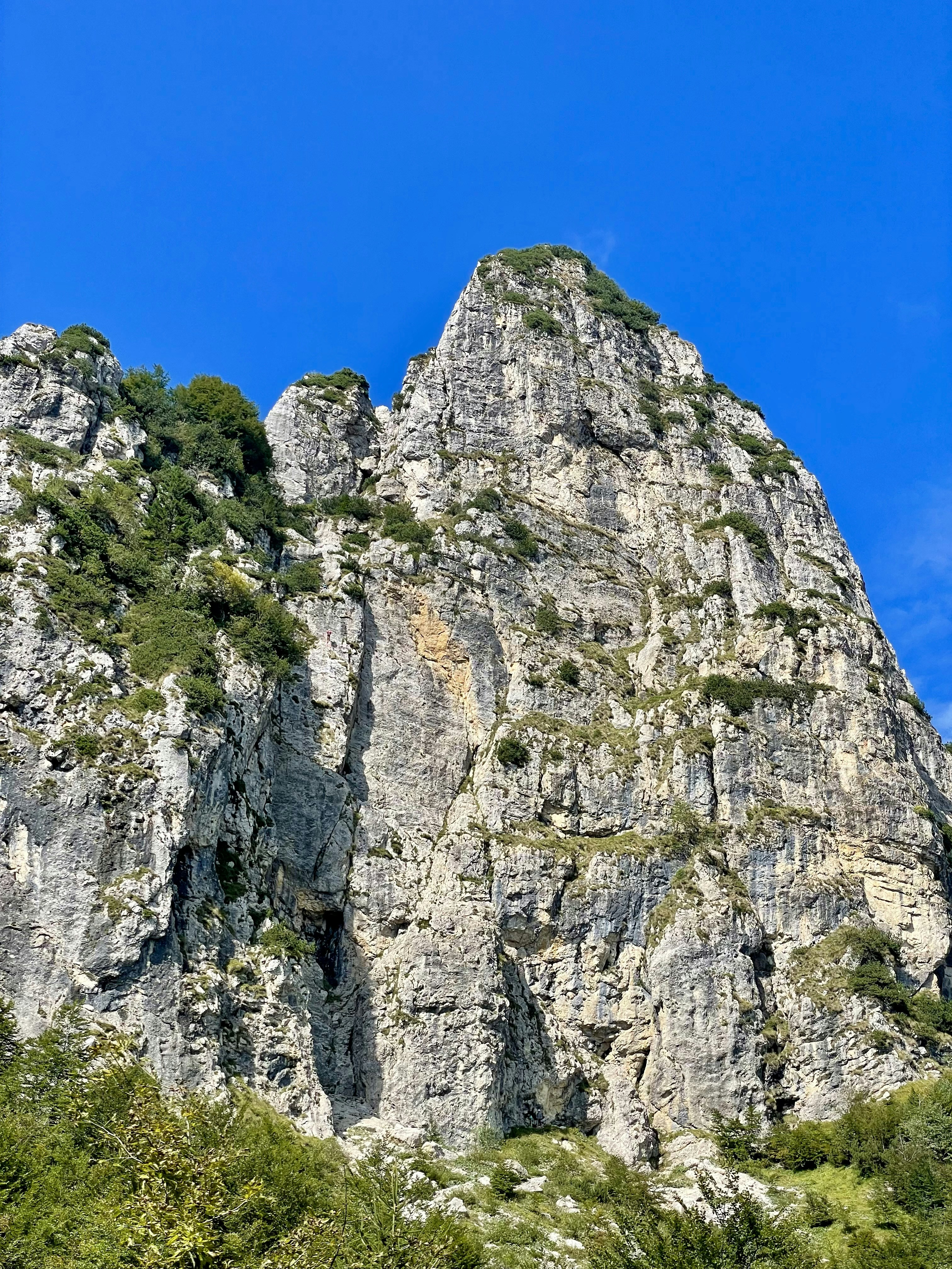 Photo by michaelmartinelli