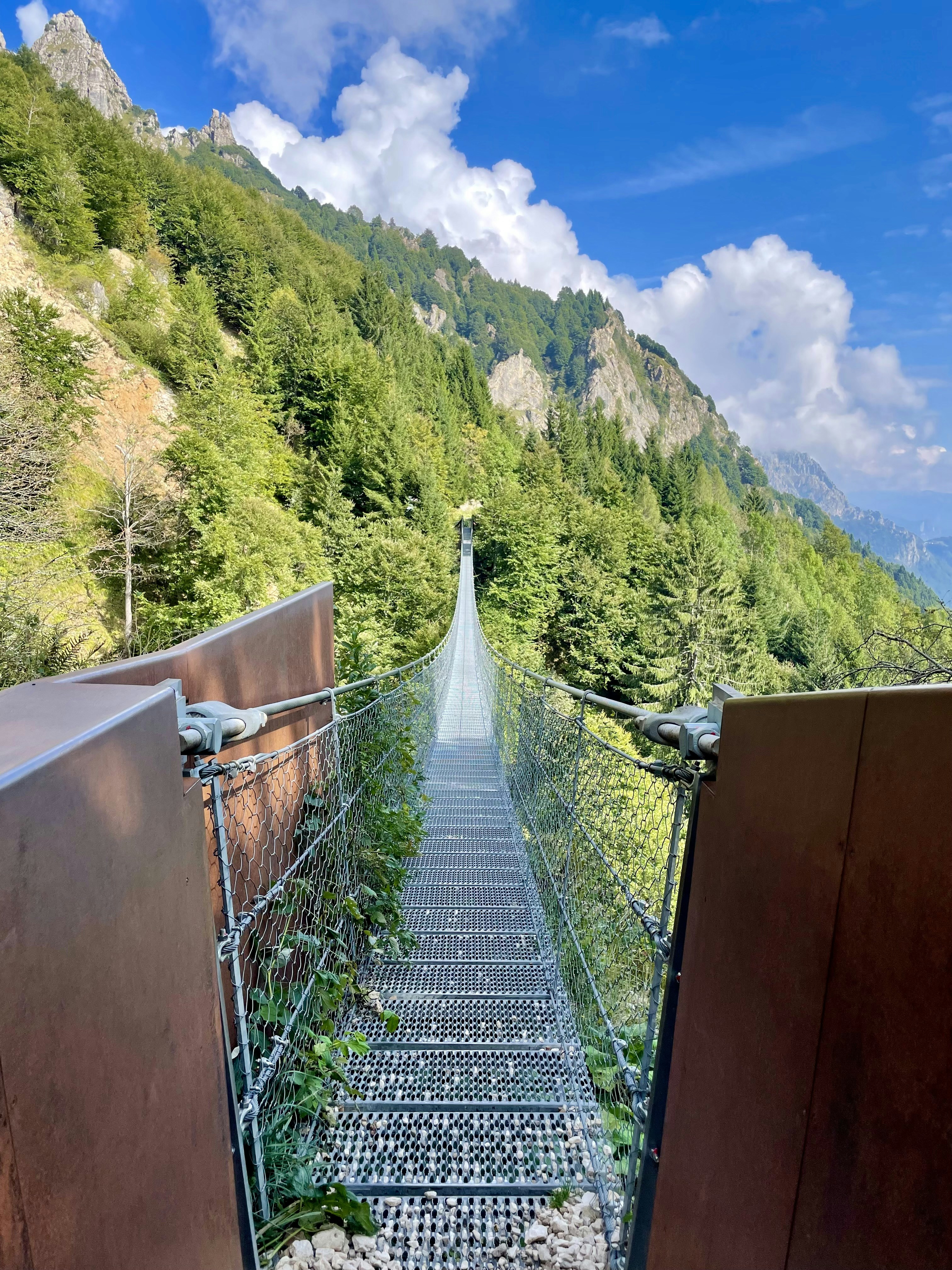 Montelukast: A New Hope for Managing MS Symptoms