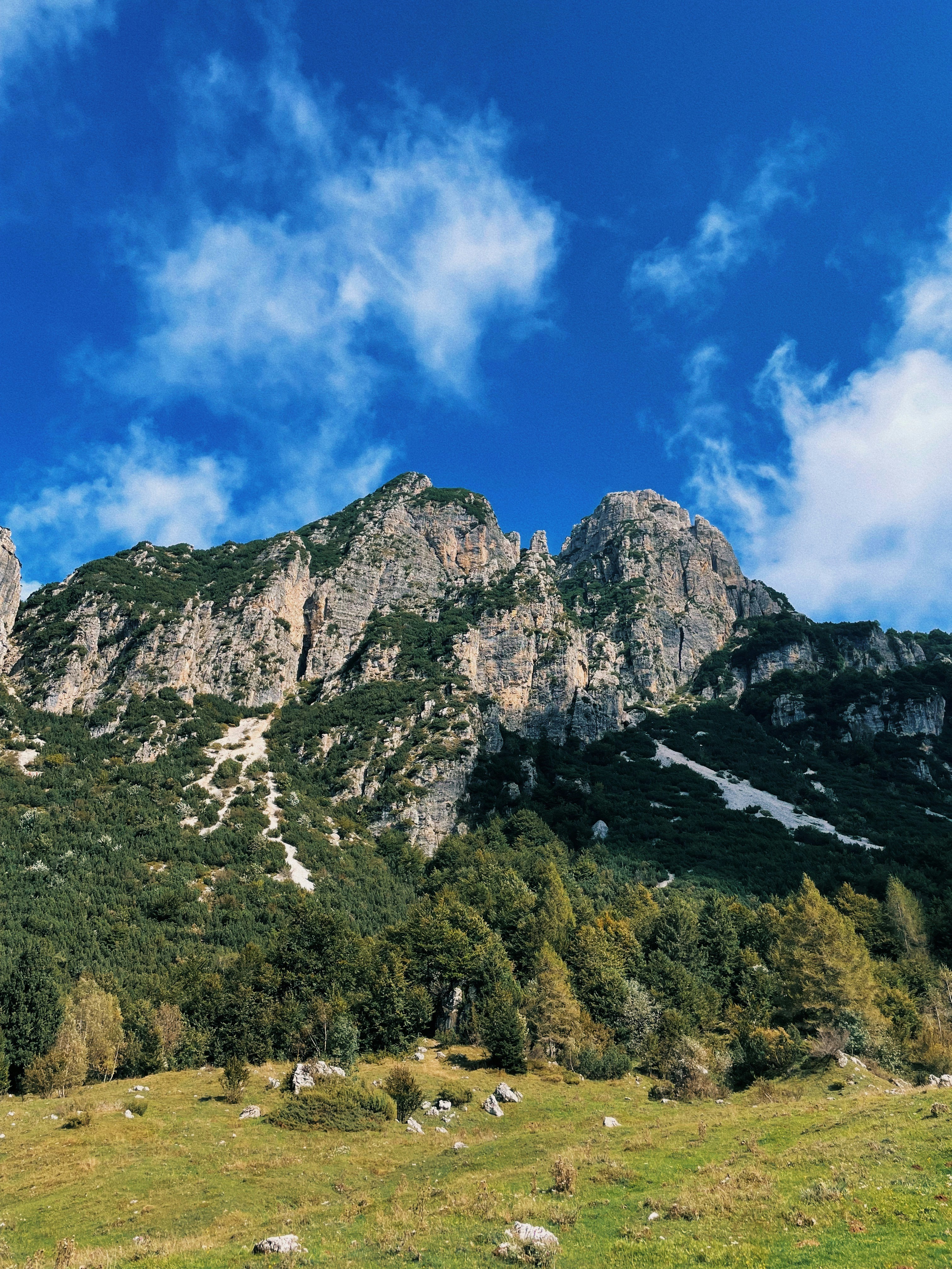 Photo by michaelmartinelli