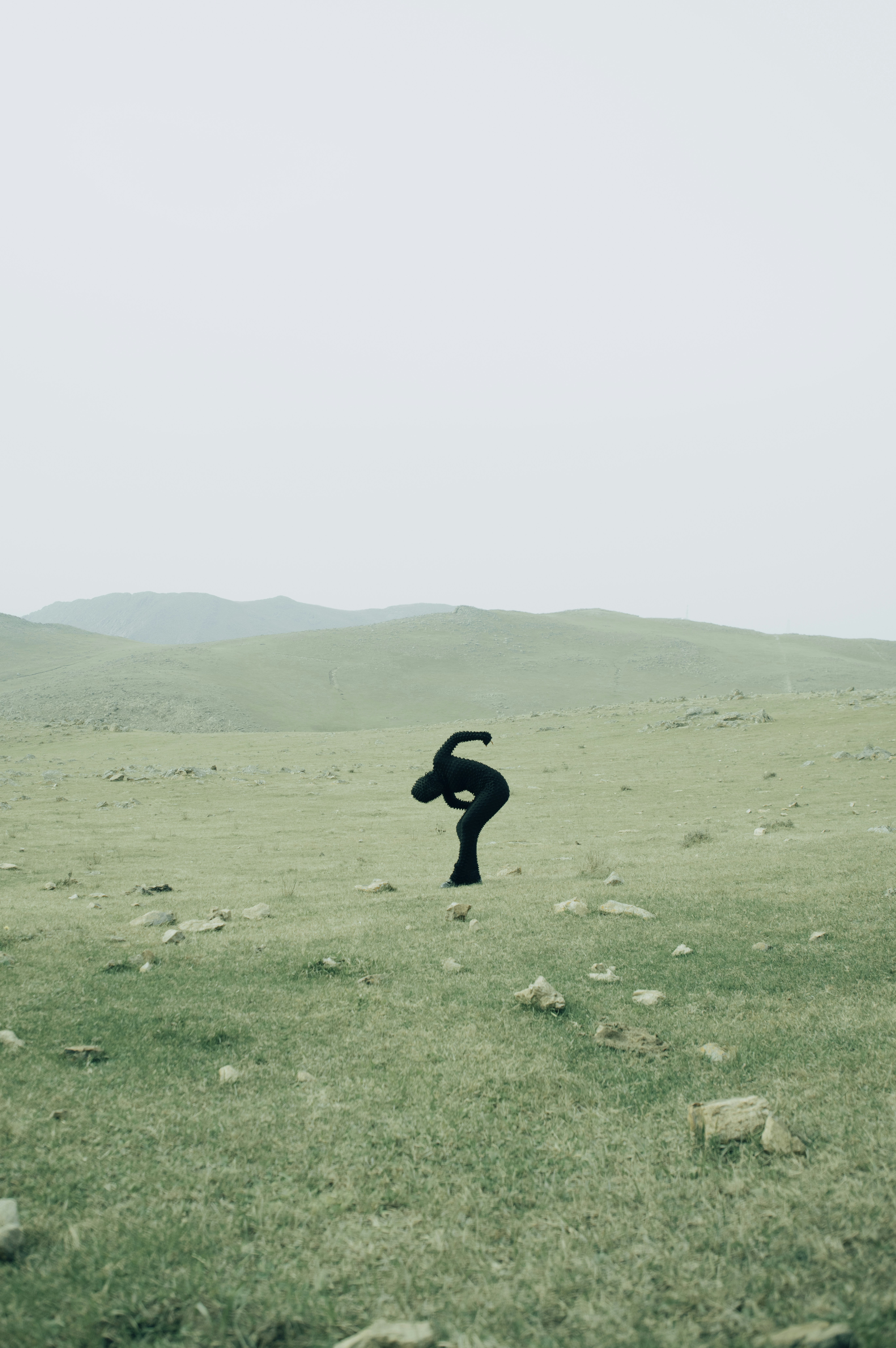 A person standing in the middle of a field
