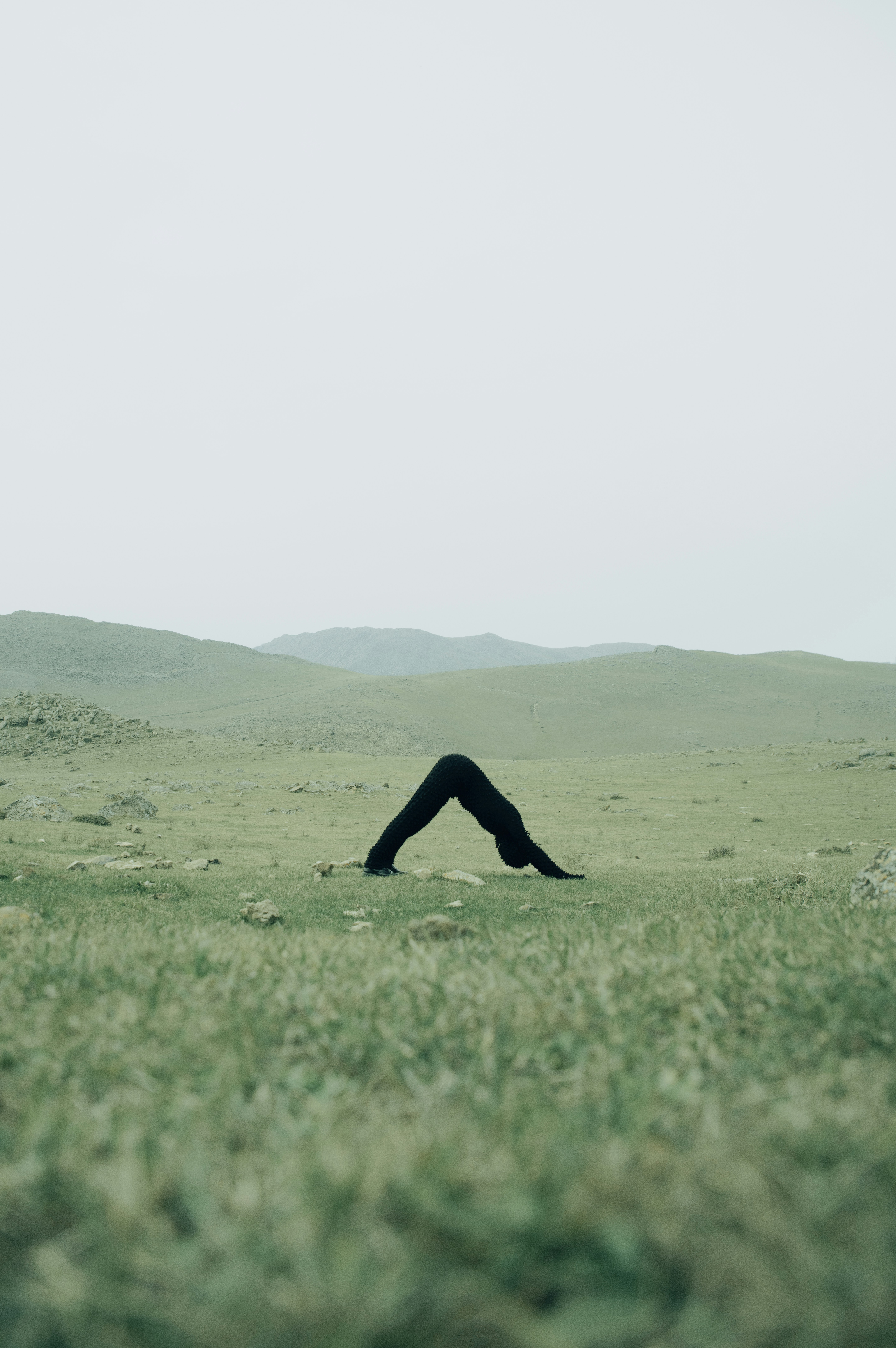 Photo by dynamicwang