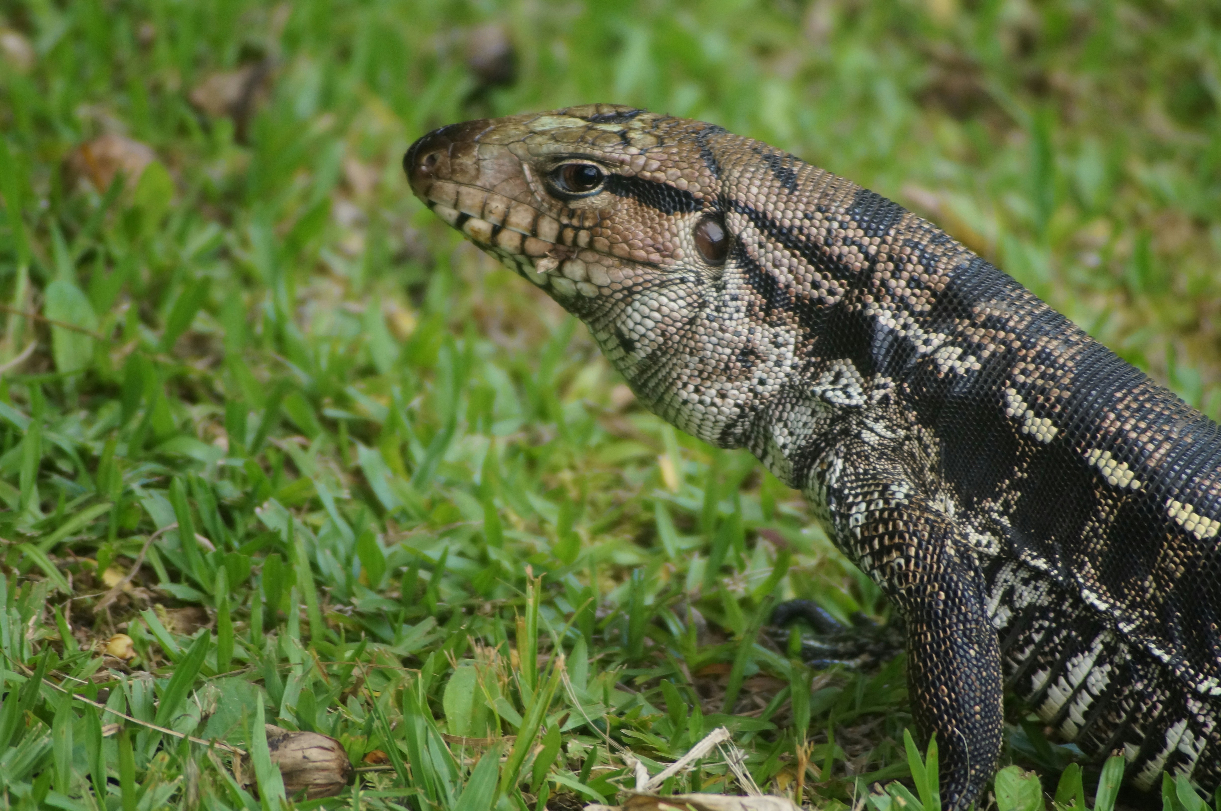 Photo by fredmachado