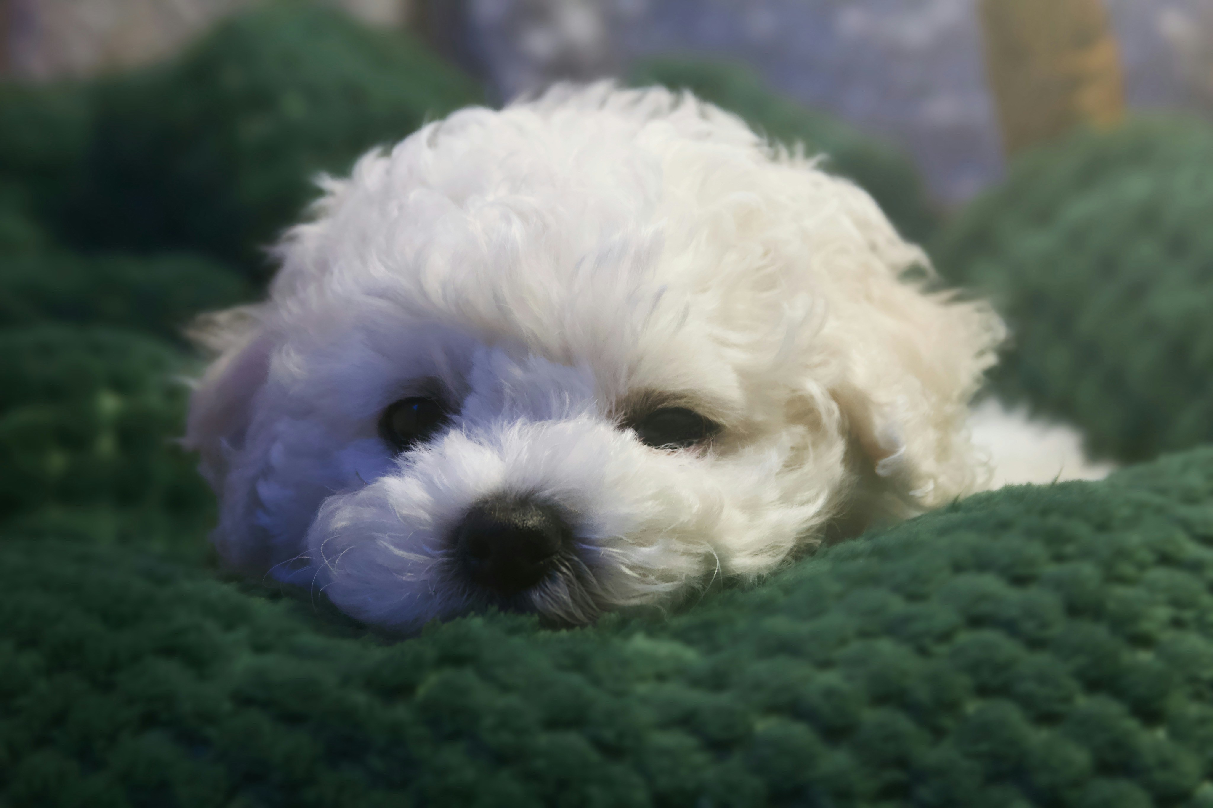 Photo by kristinokarlsen