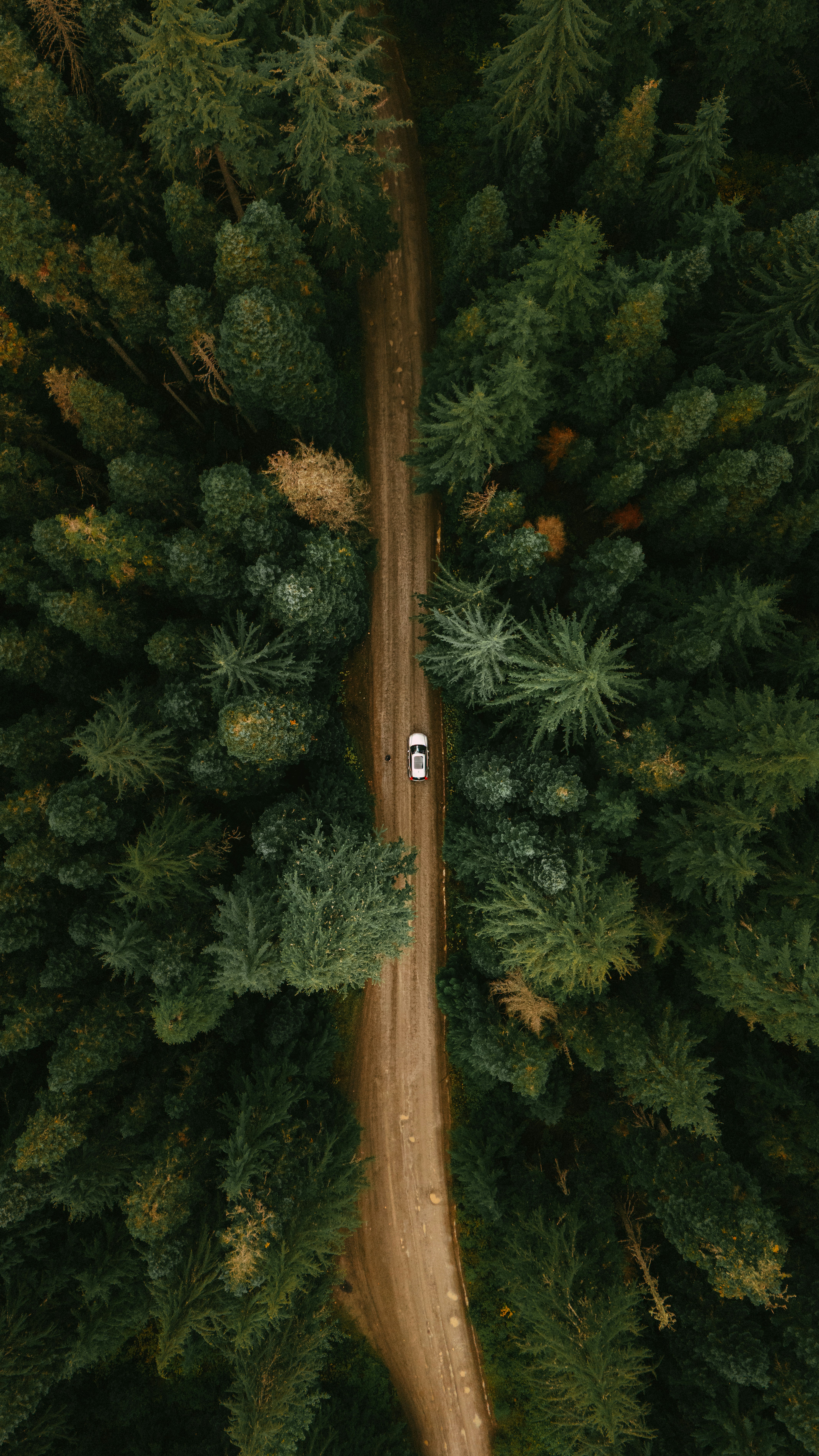 Photo by parsamphotography