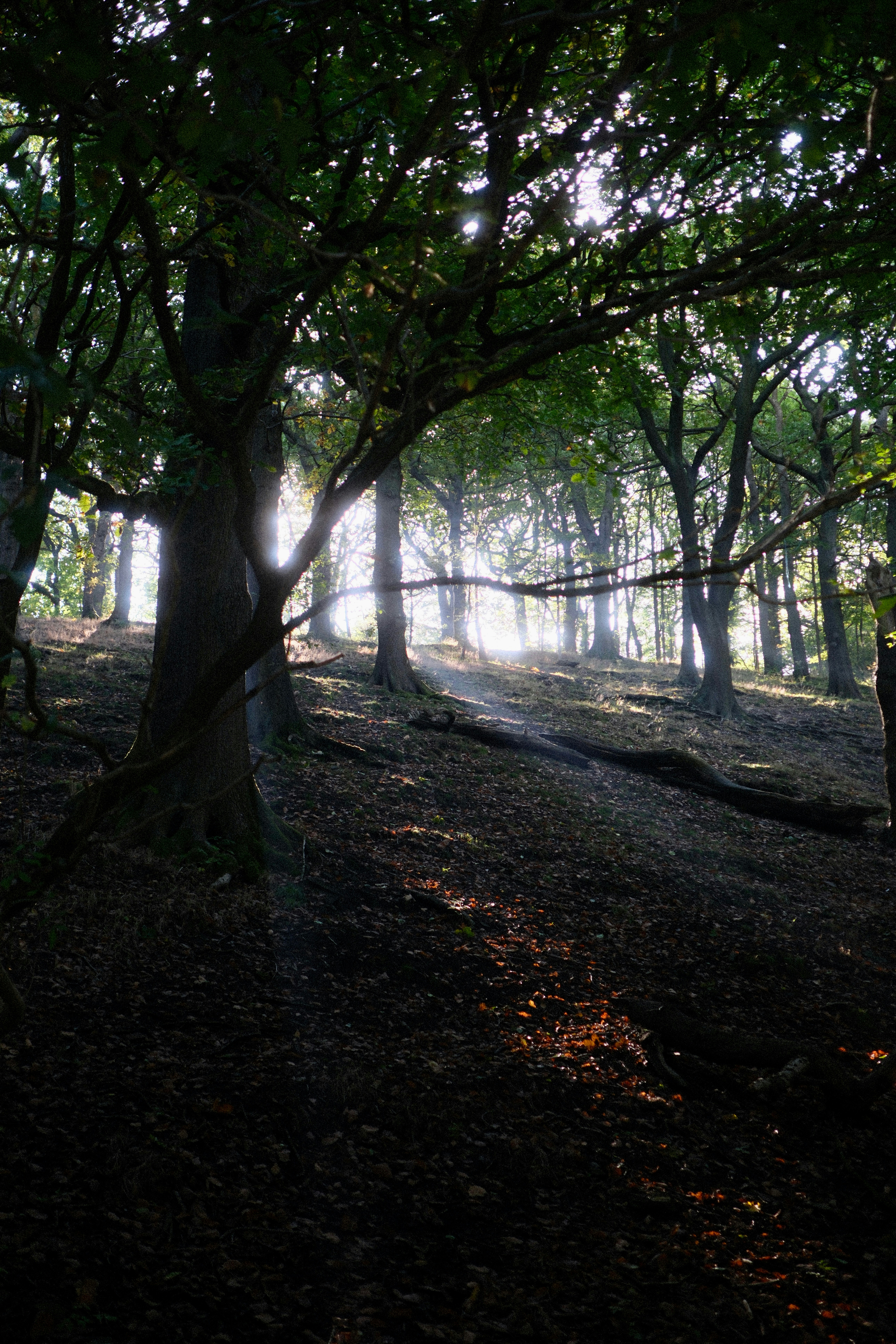 Photo by alekseixagafonov