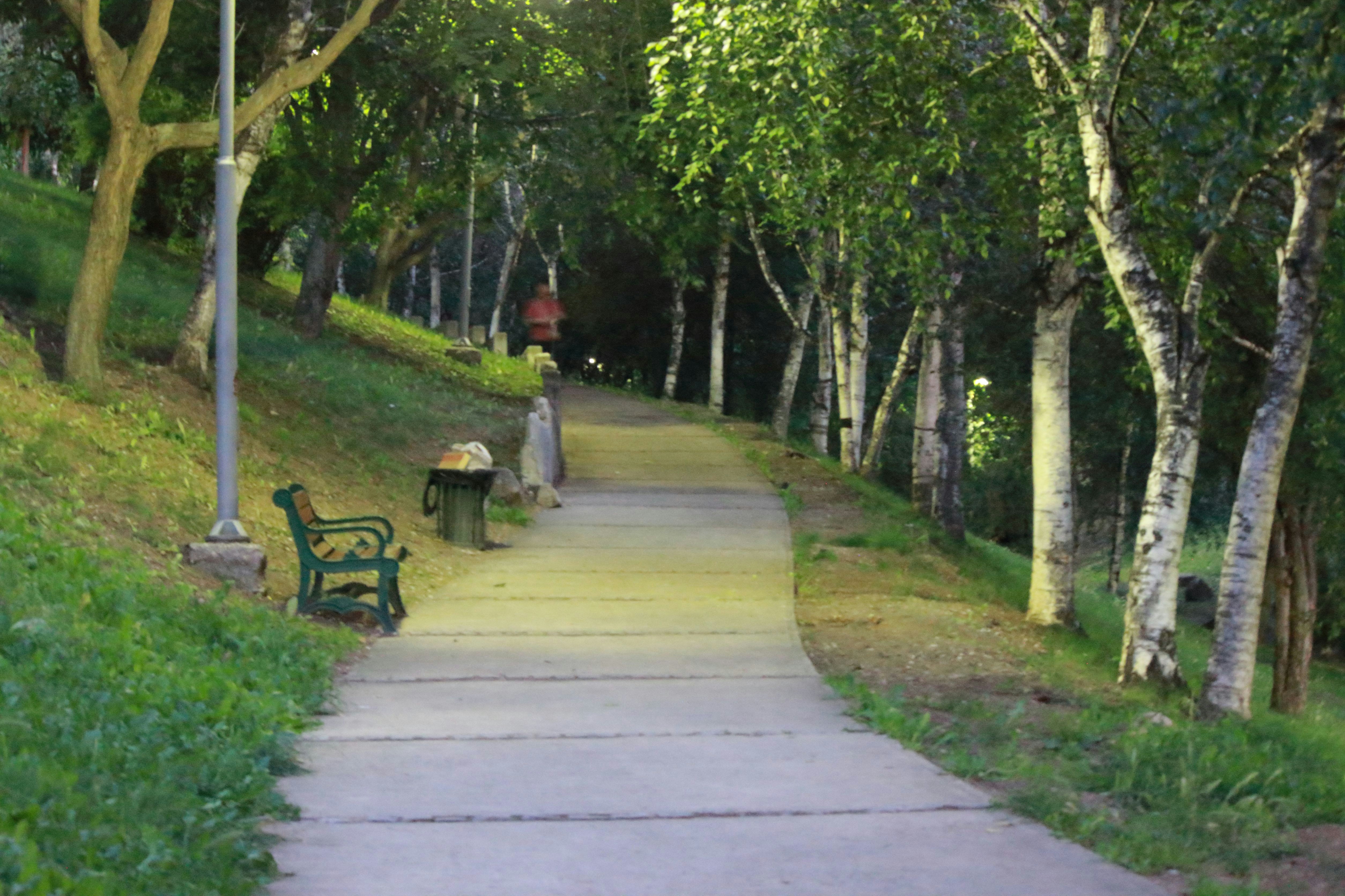 A person sitting on a bench in a park