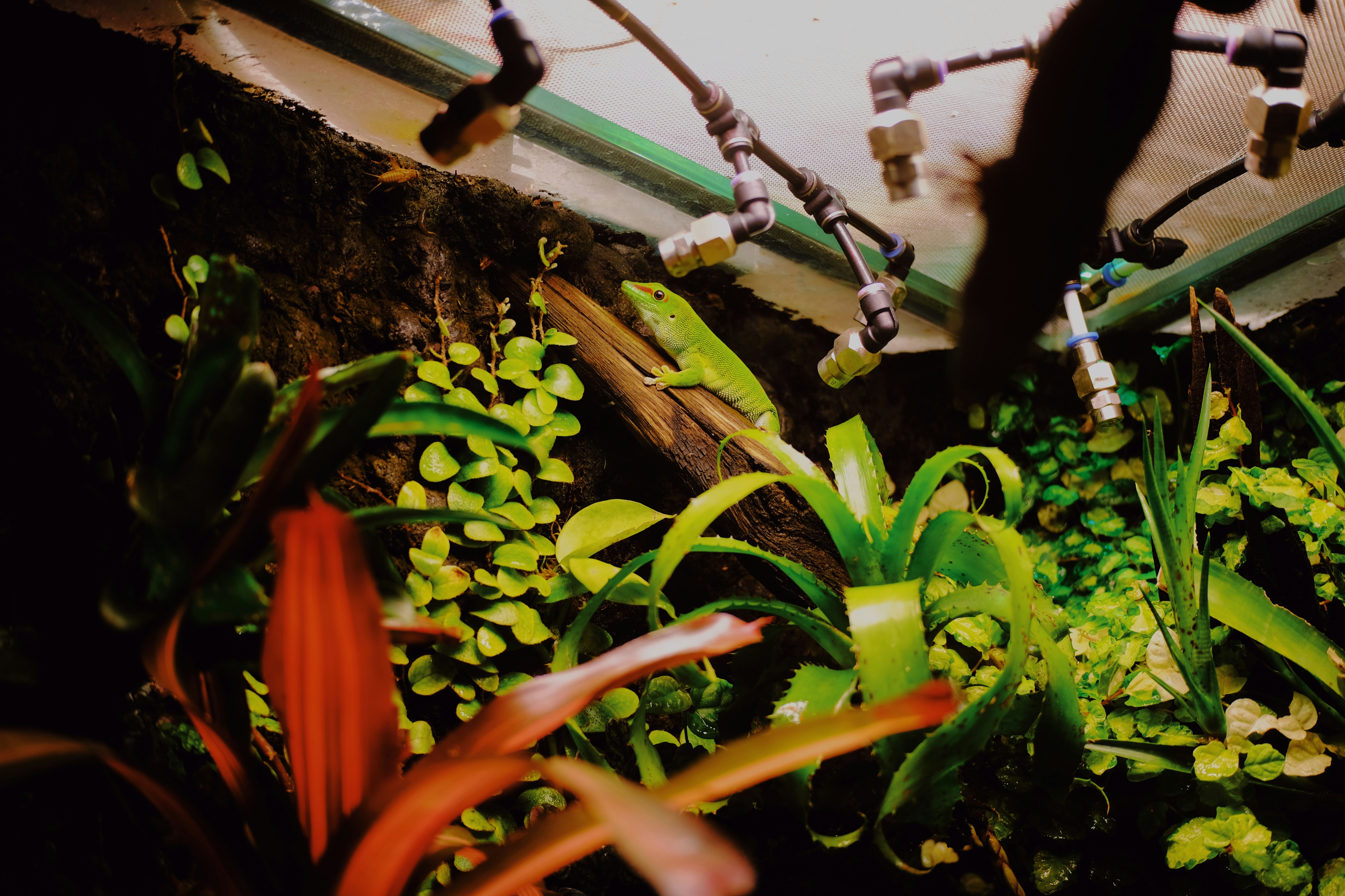 Photo by sesambrotchen