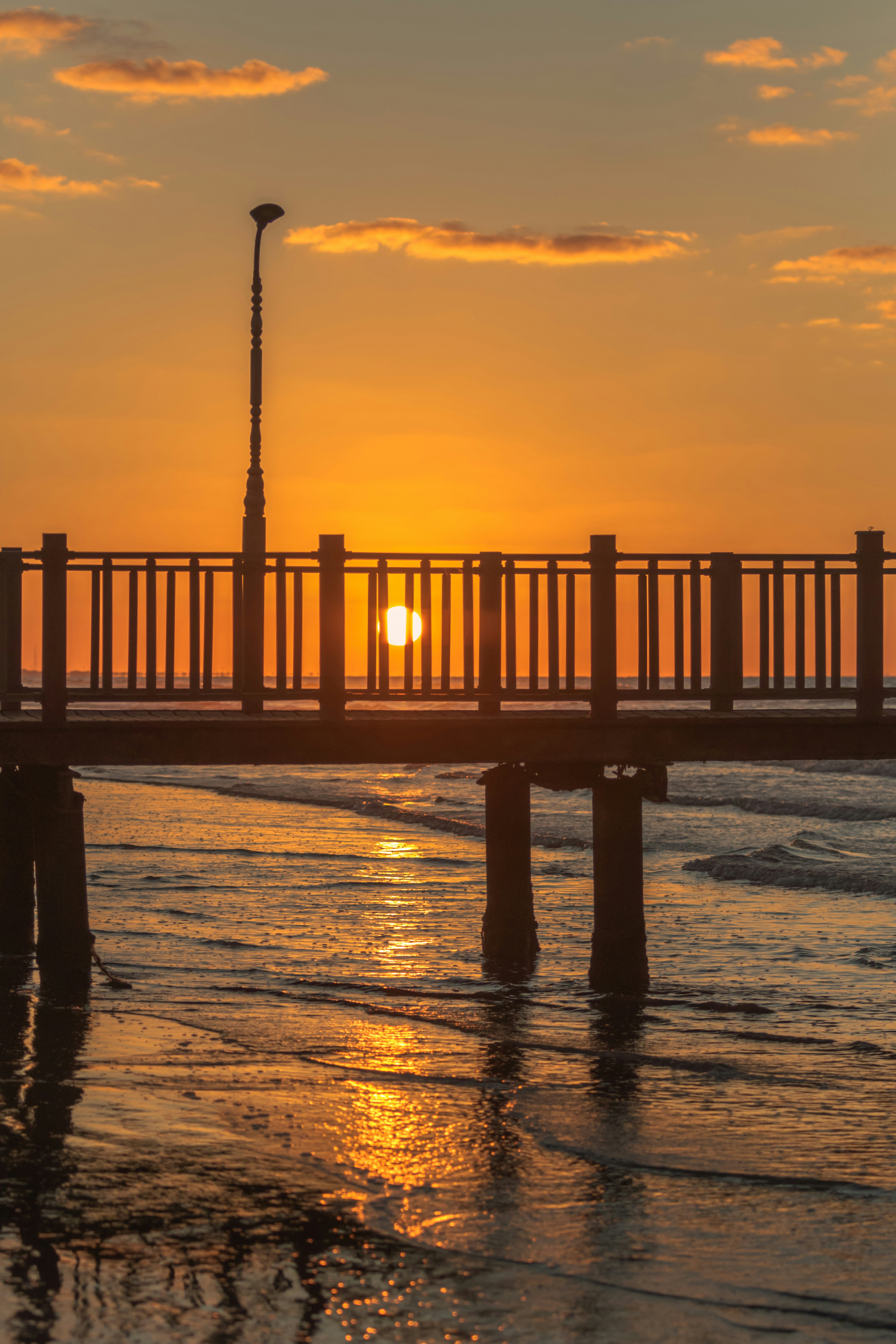 Photo by starkie_pics