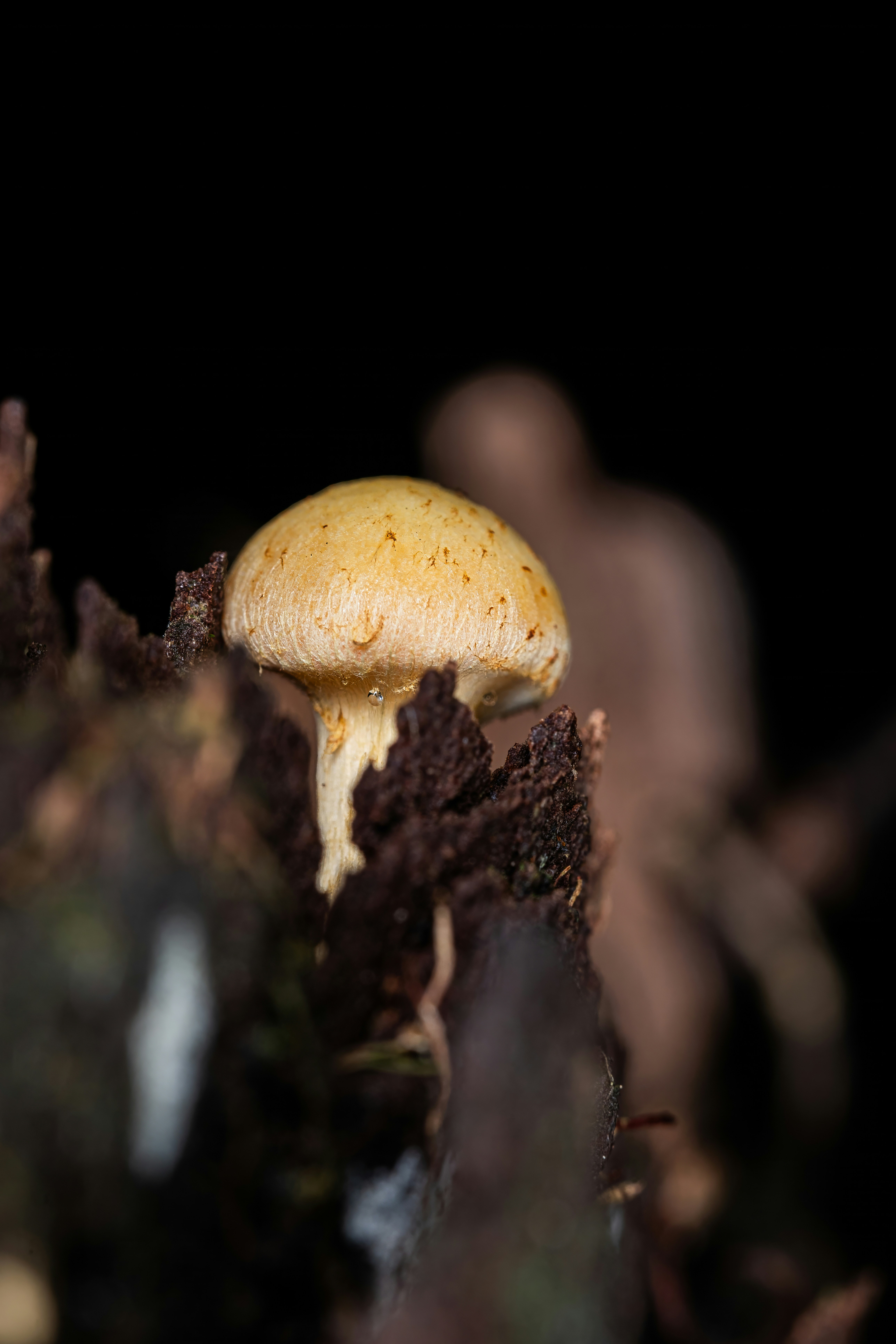 Photo by alexandredaoust