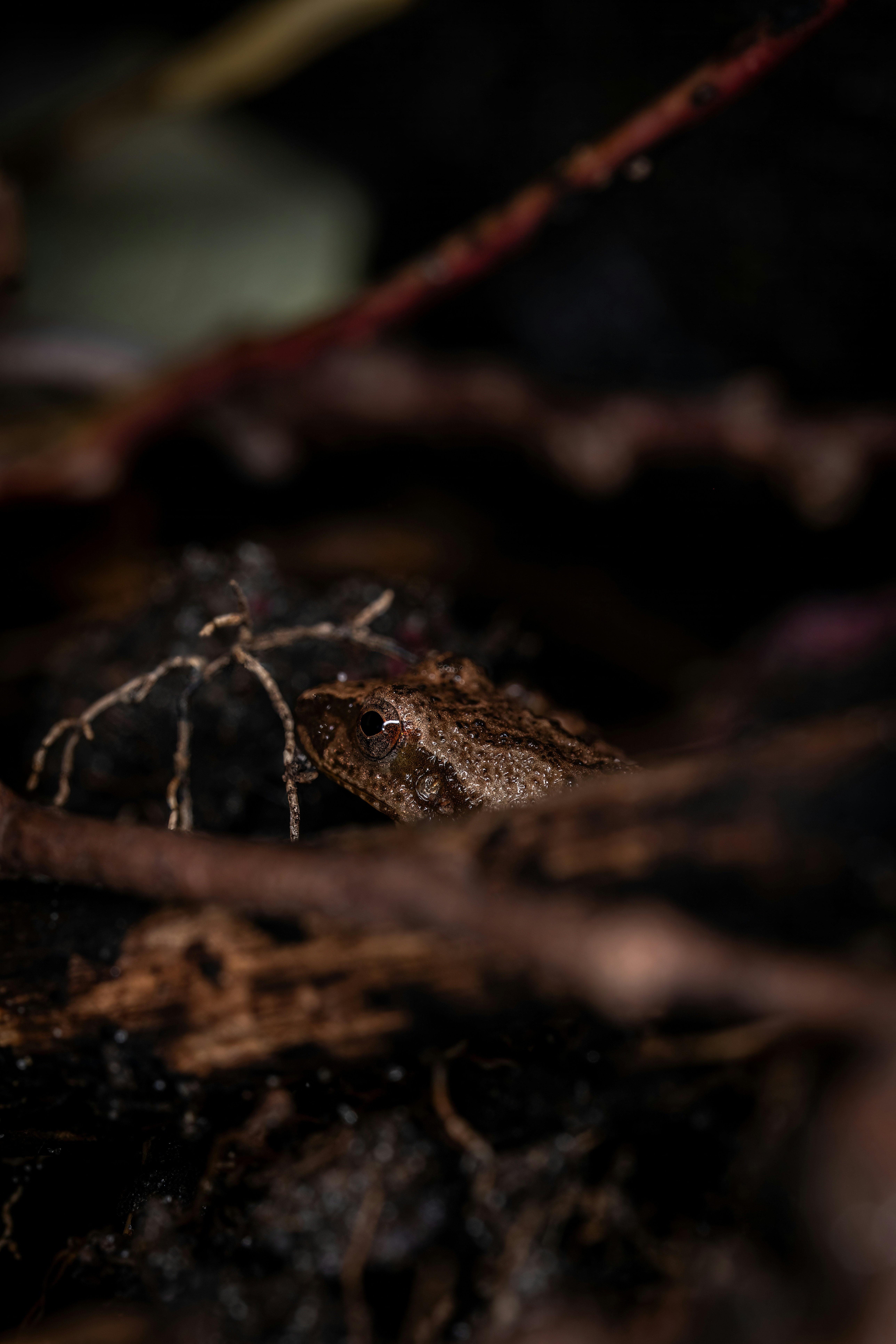 Photo by alexandredaoust