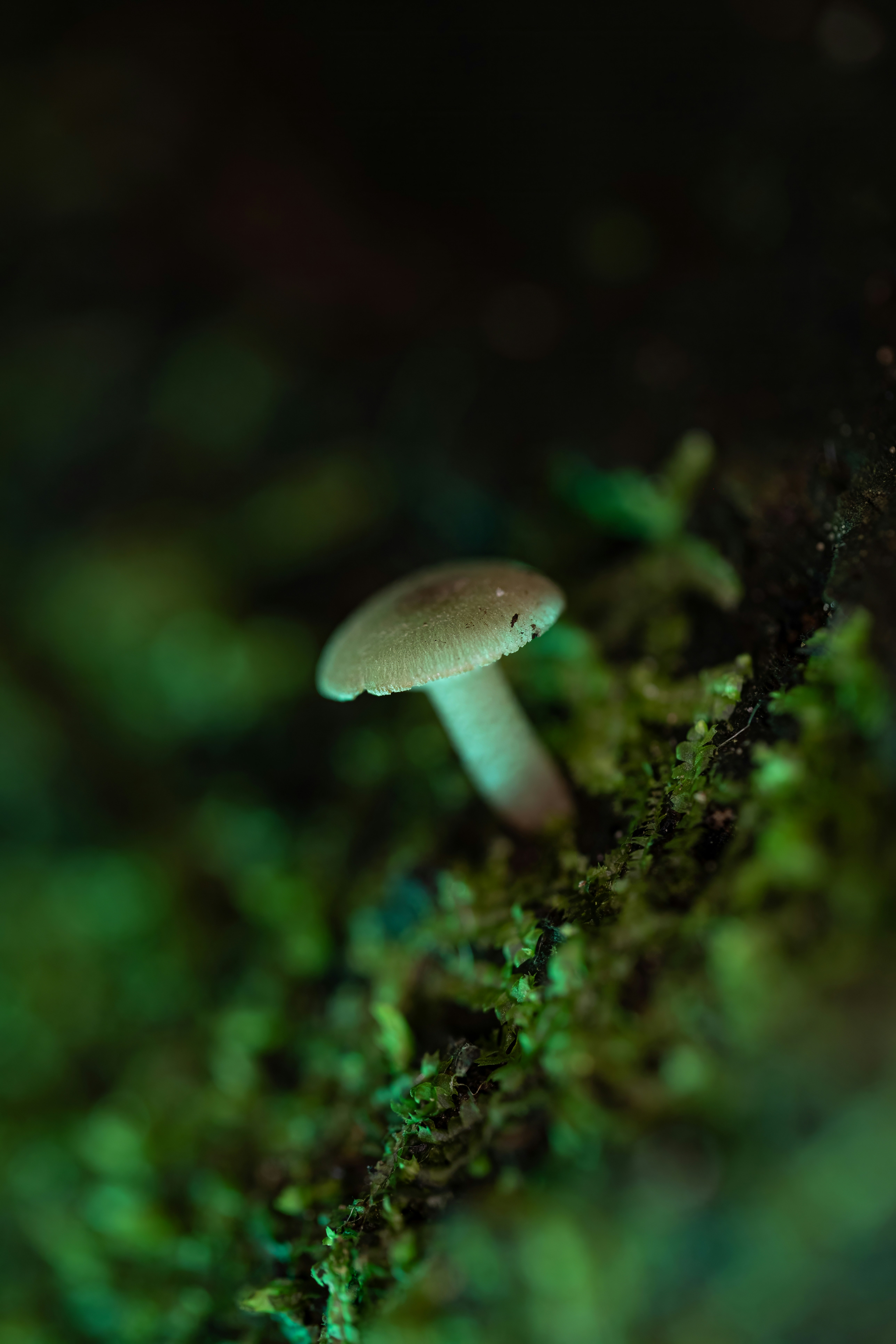 Photo by alexandredaoust