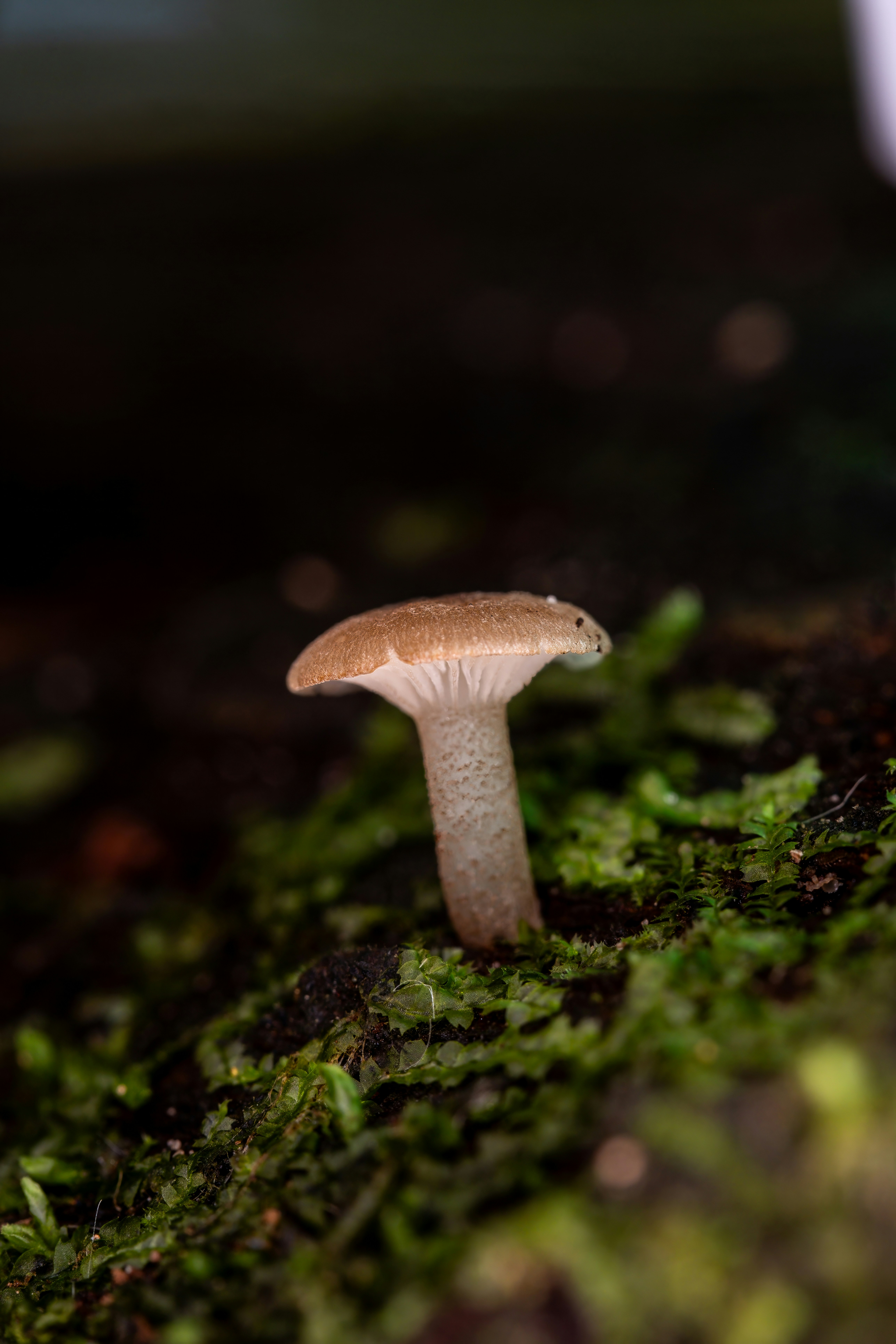 Photo by alexandredaoust