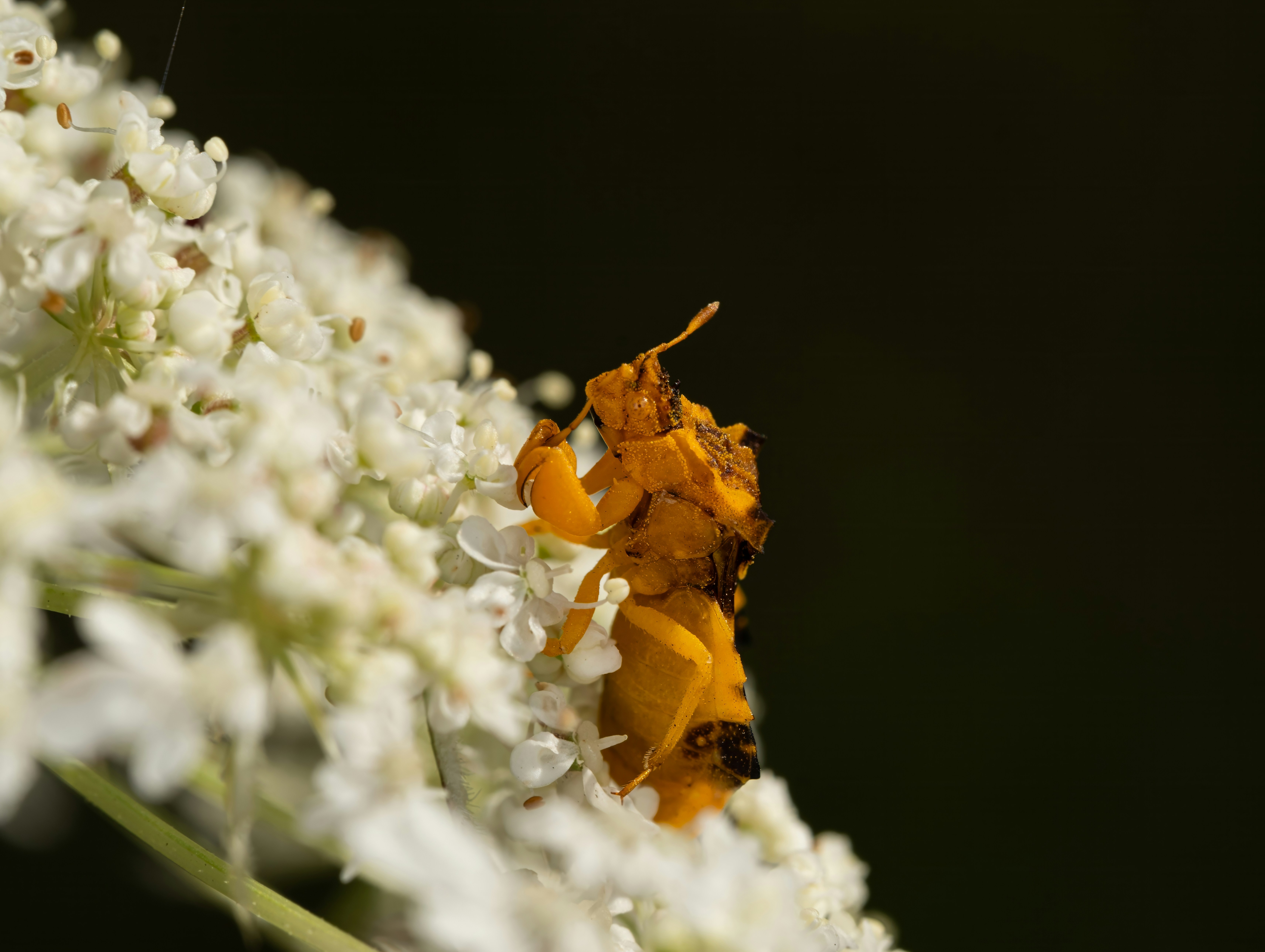 Photo by alexandredaoust