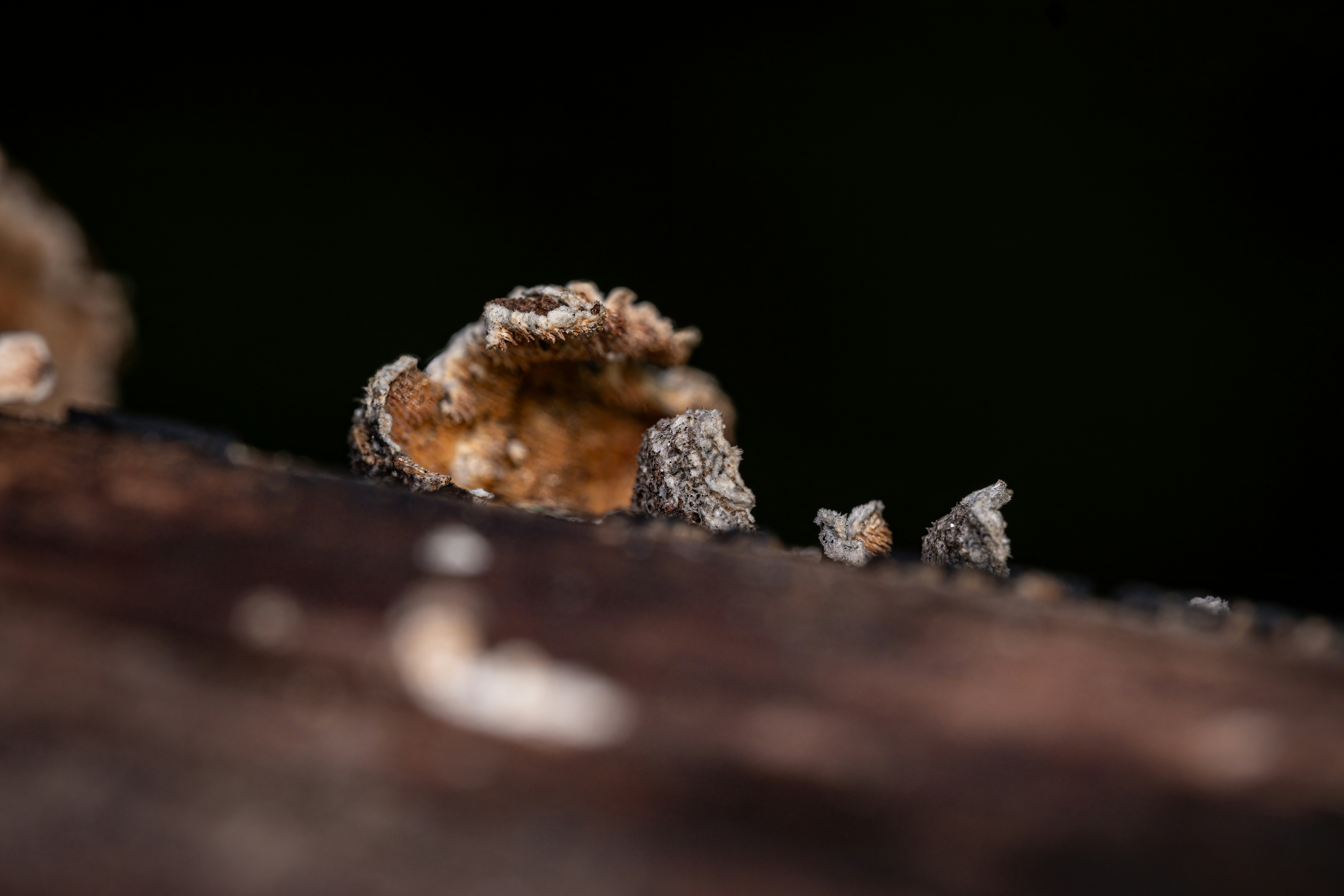 Photo by alexandredaoust