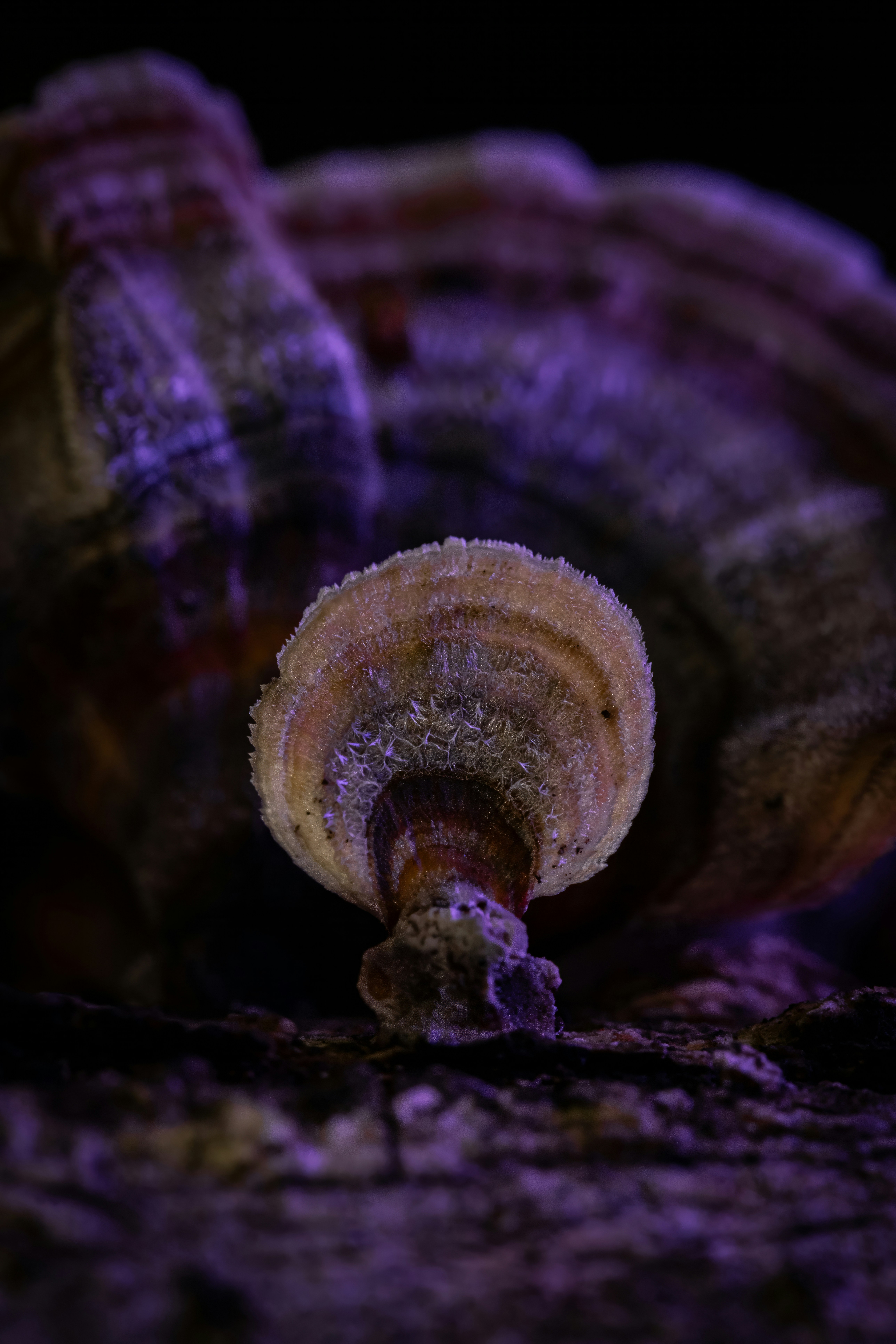 Photo by alexandredaoust