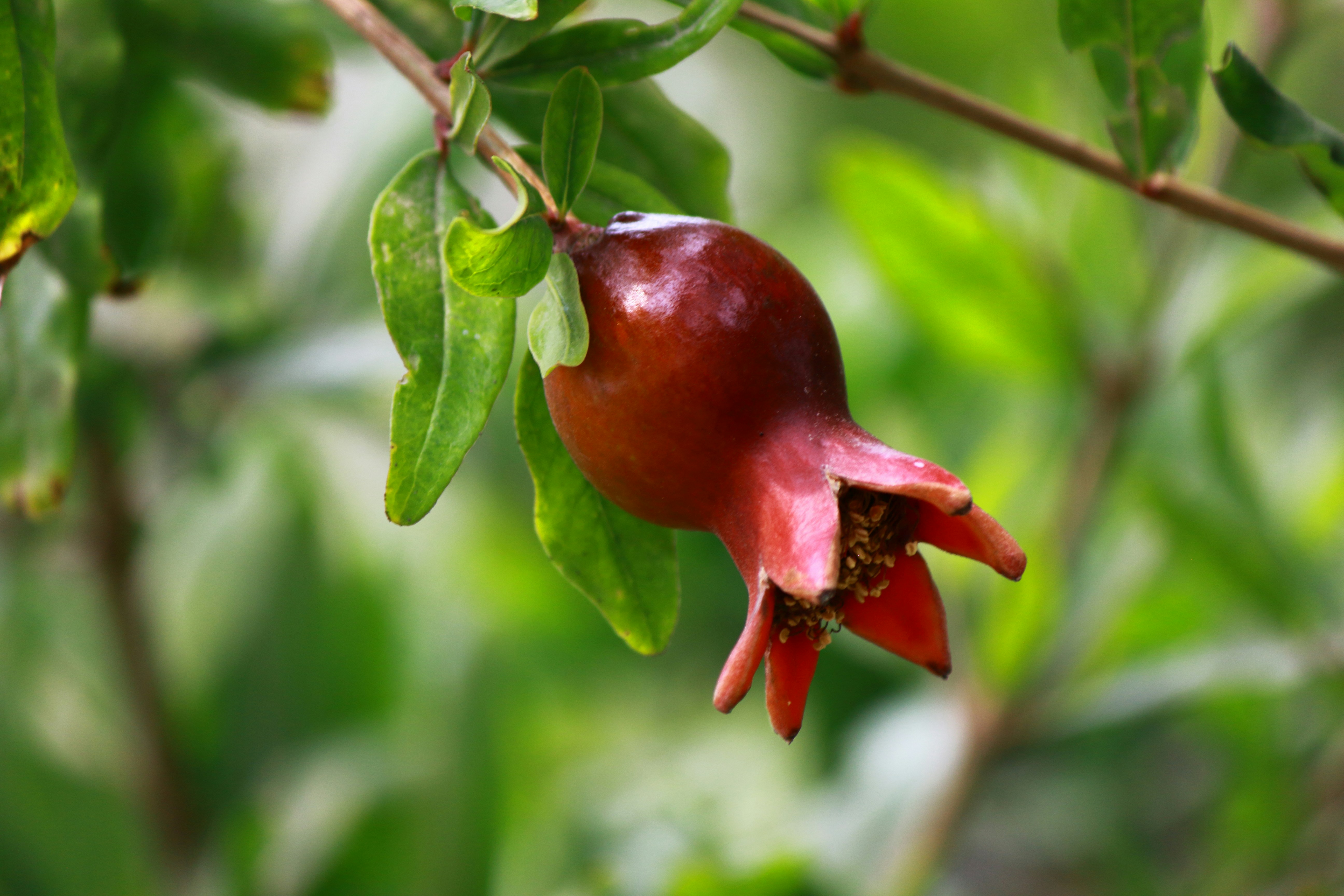 Photo by cengizozarpat