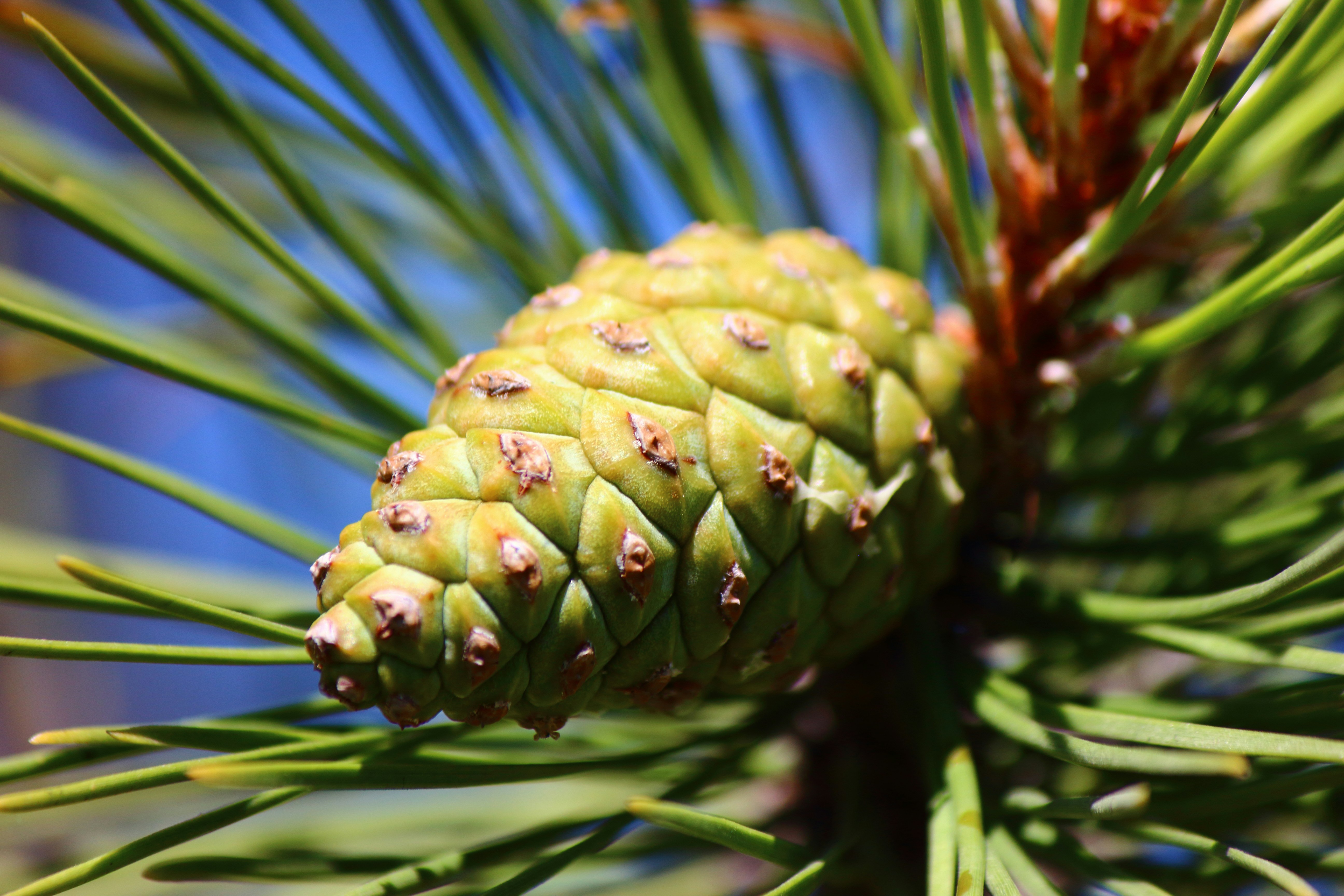 Photo by cengizozarpat