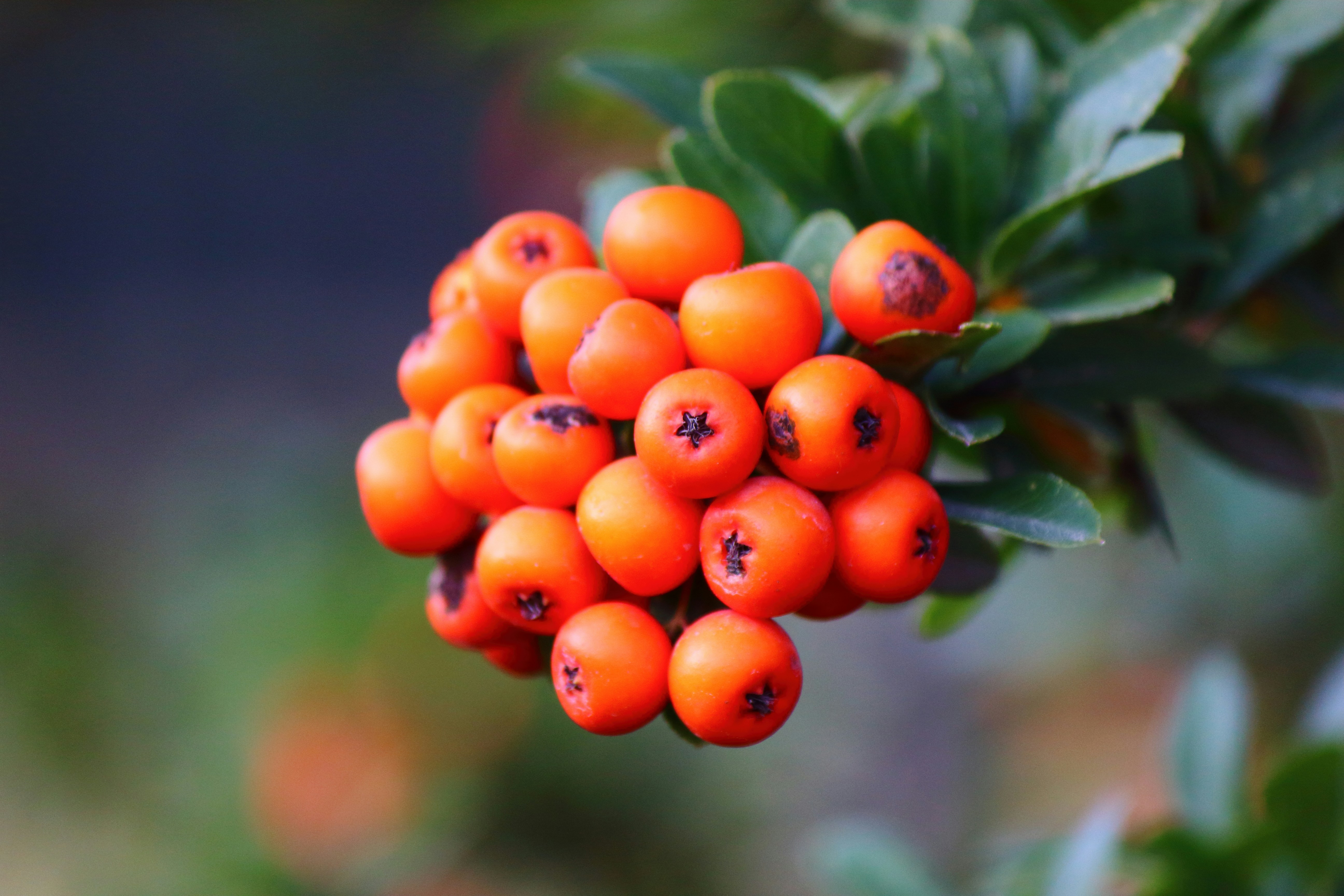 Photo by cengizozarpat