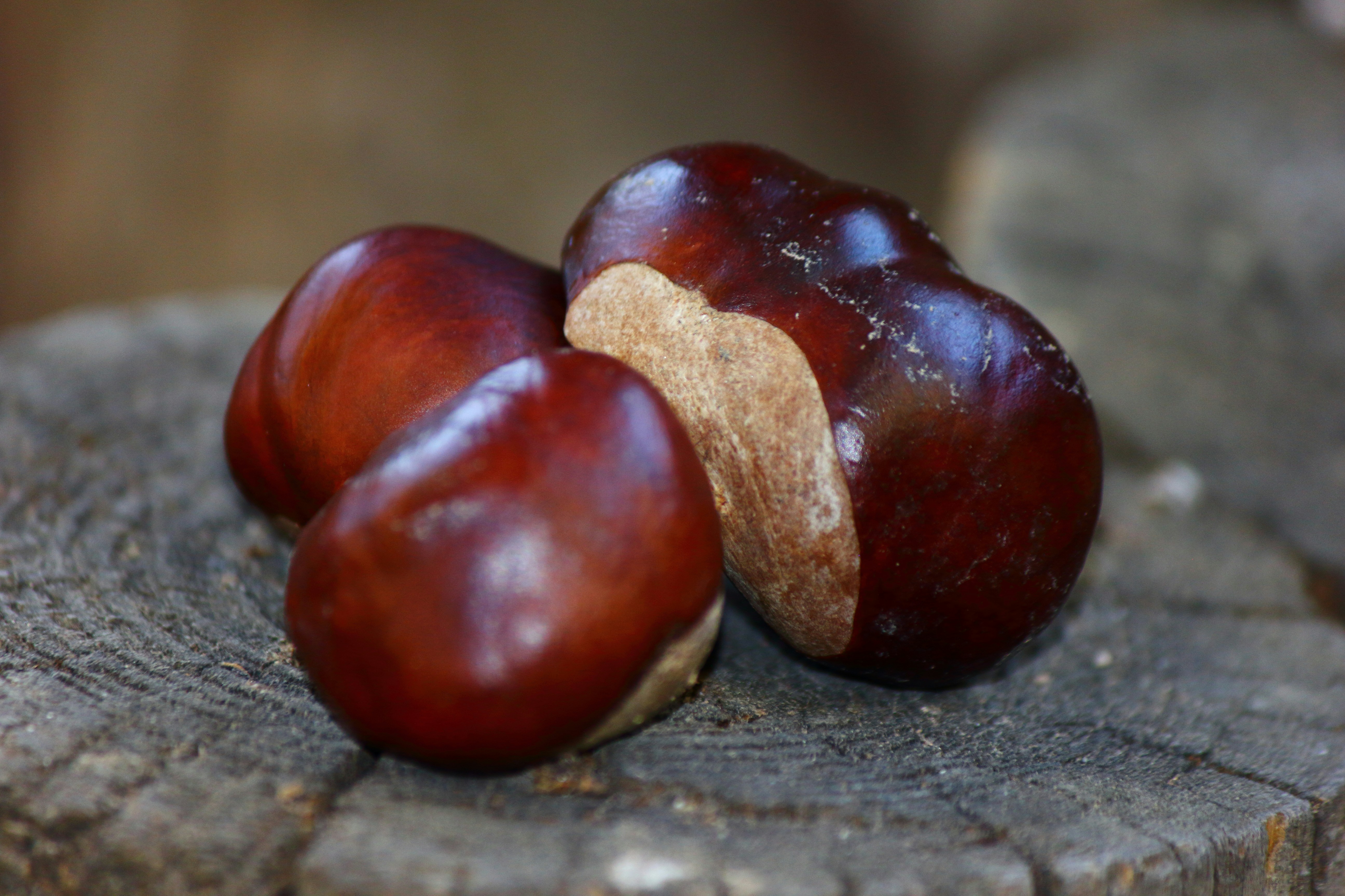 Photo by cengizozarpat