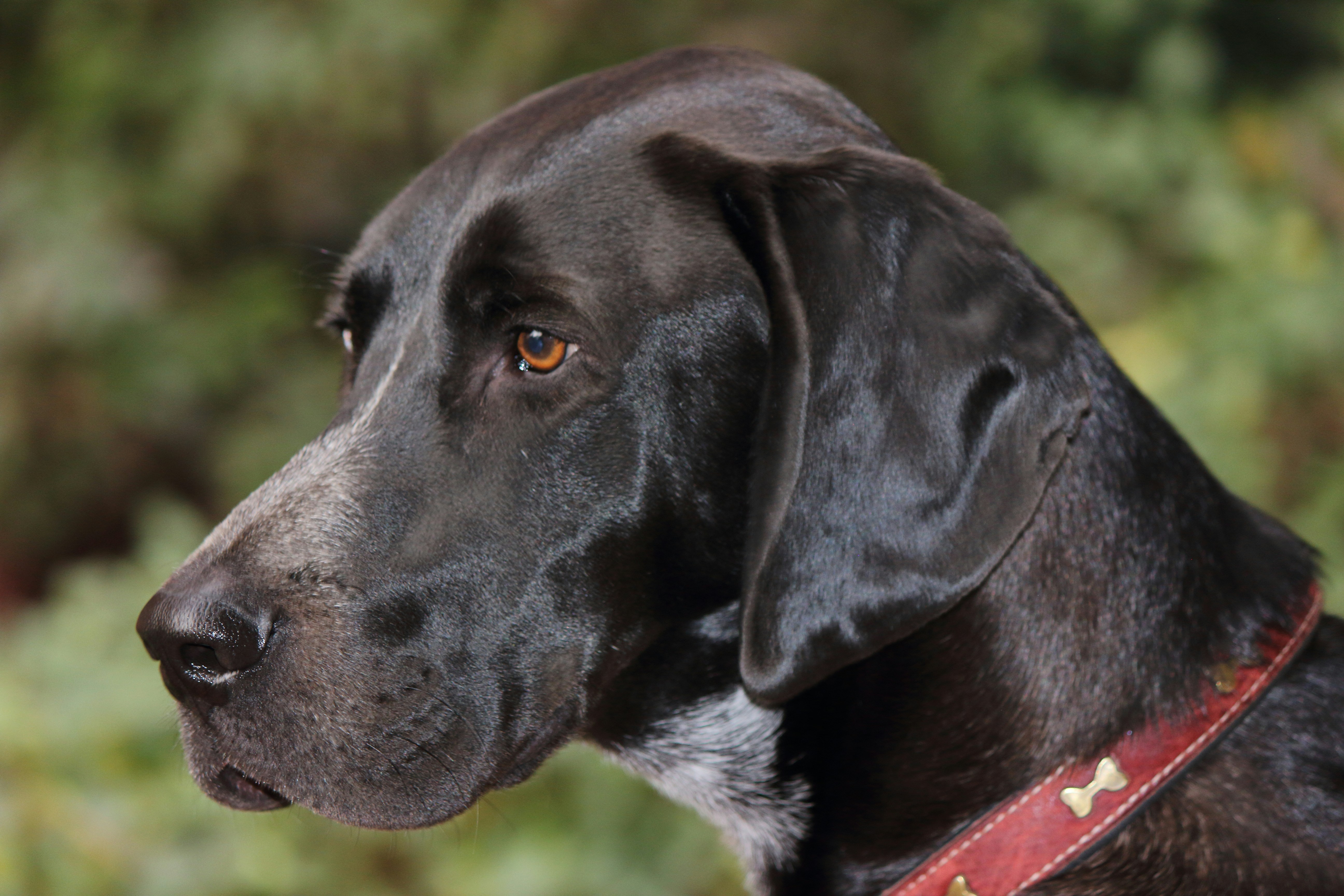 Photo by cengizozarpat