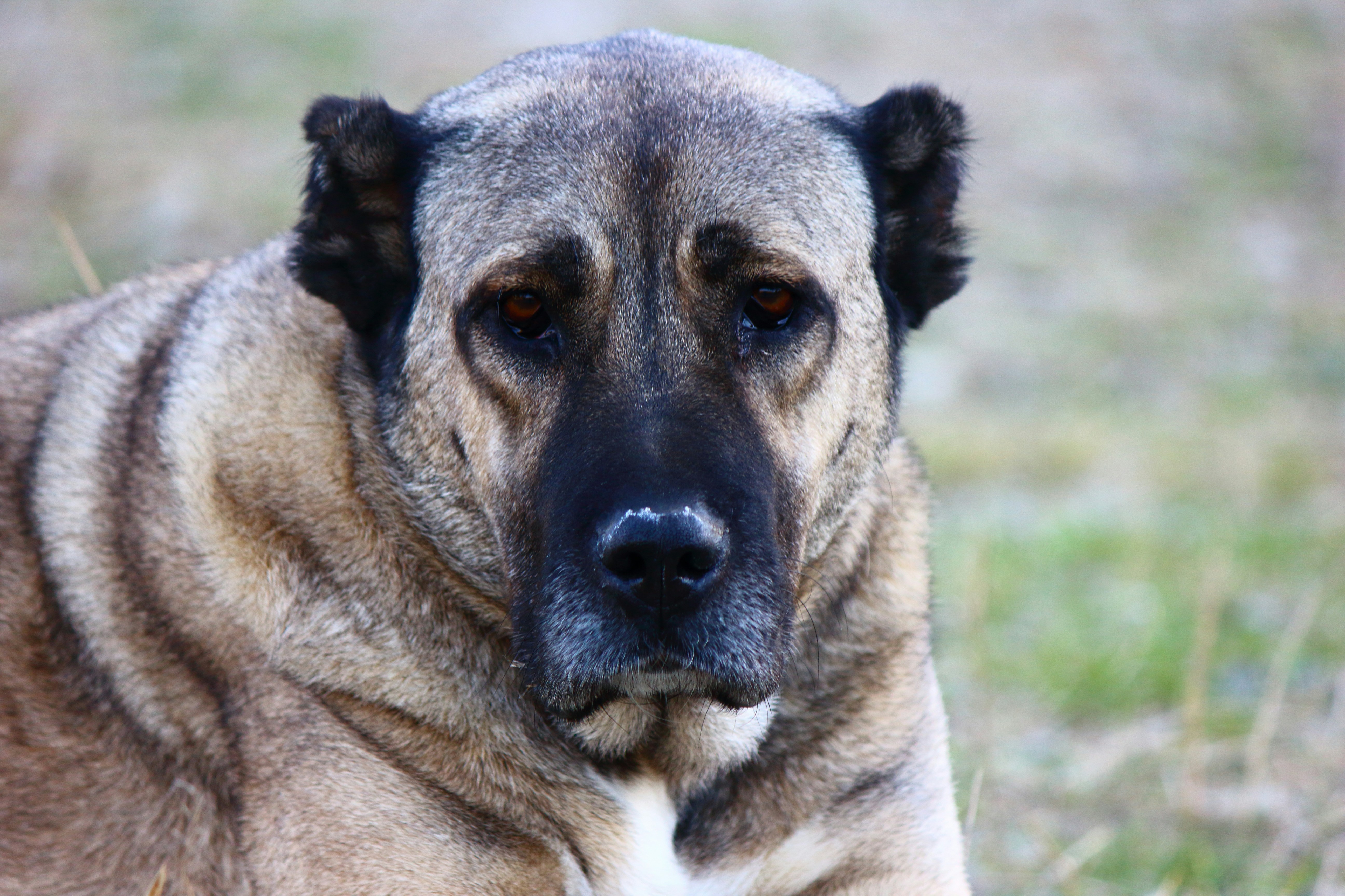 Photo by cengizozarpat