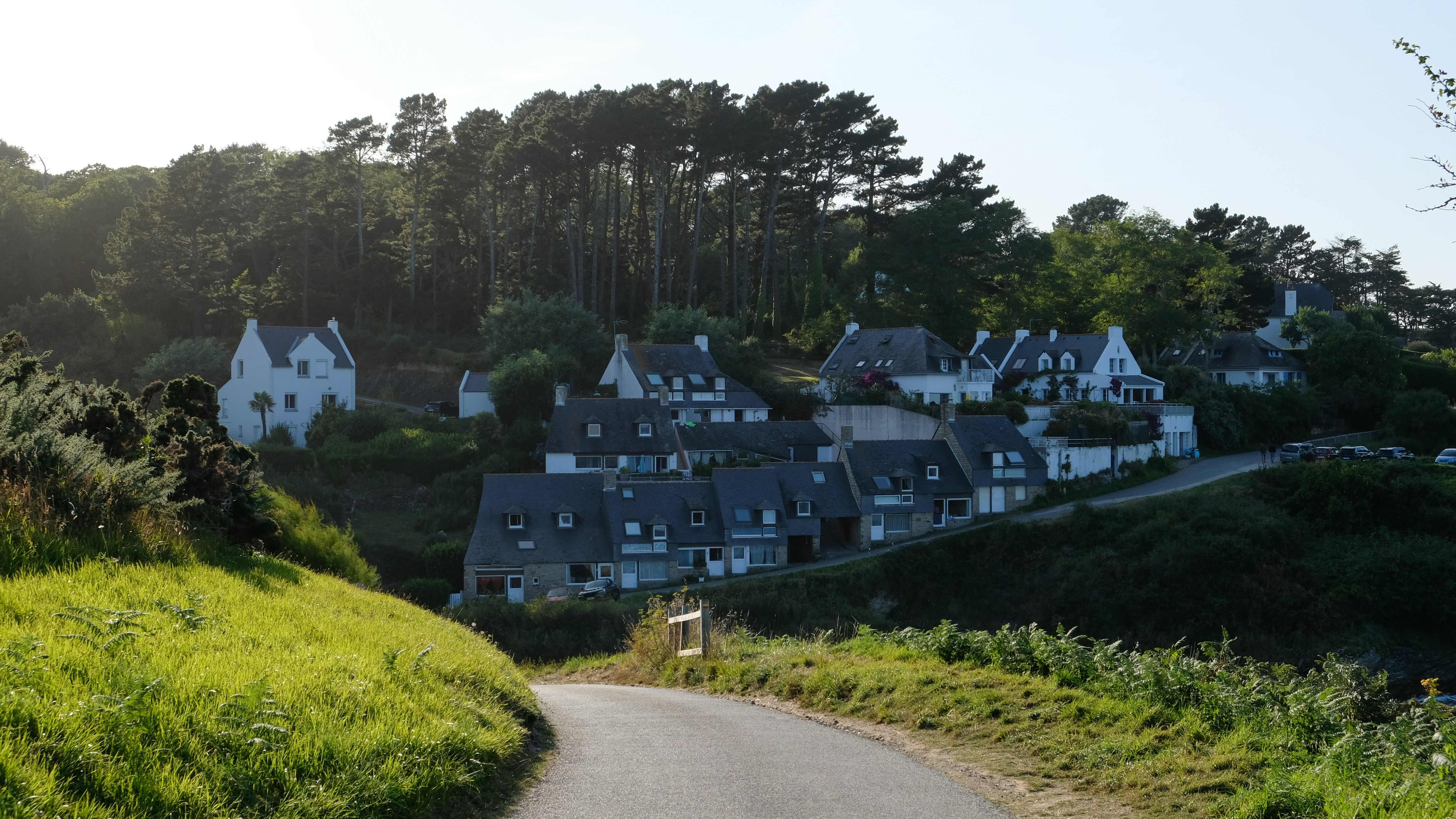 A road with houses on a hill in the background