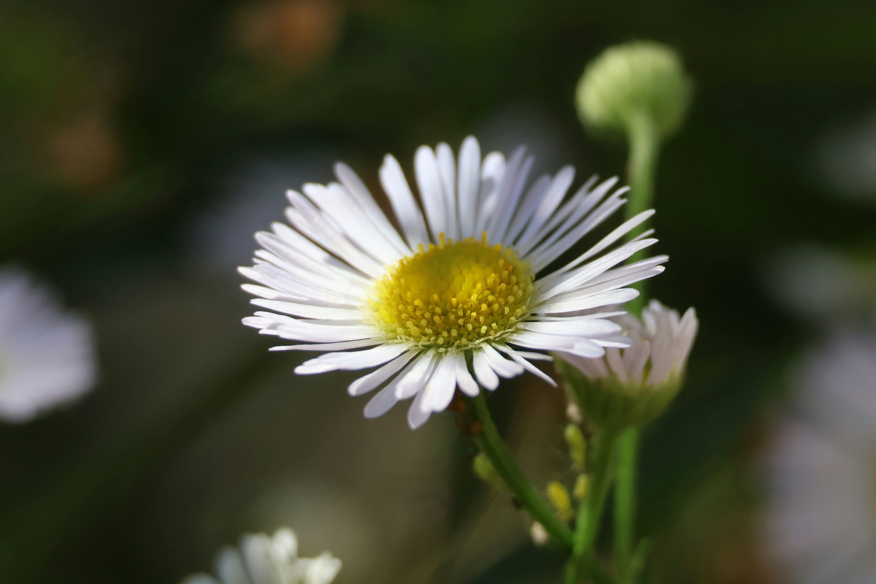 Photo by shooter__andy