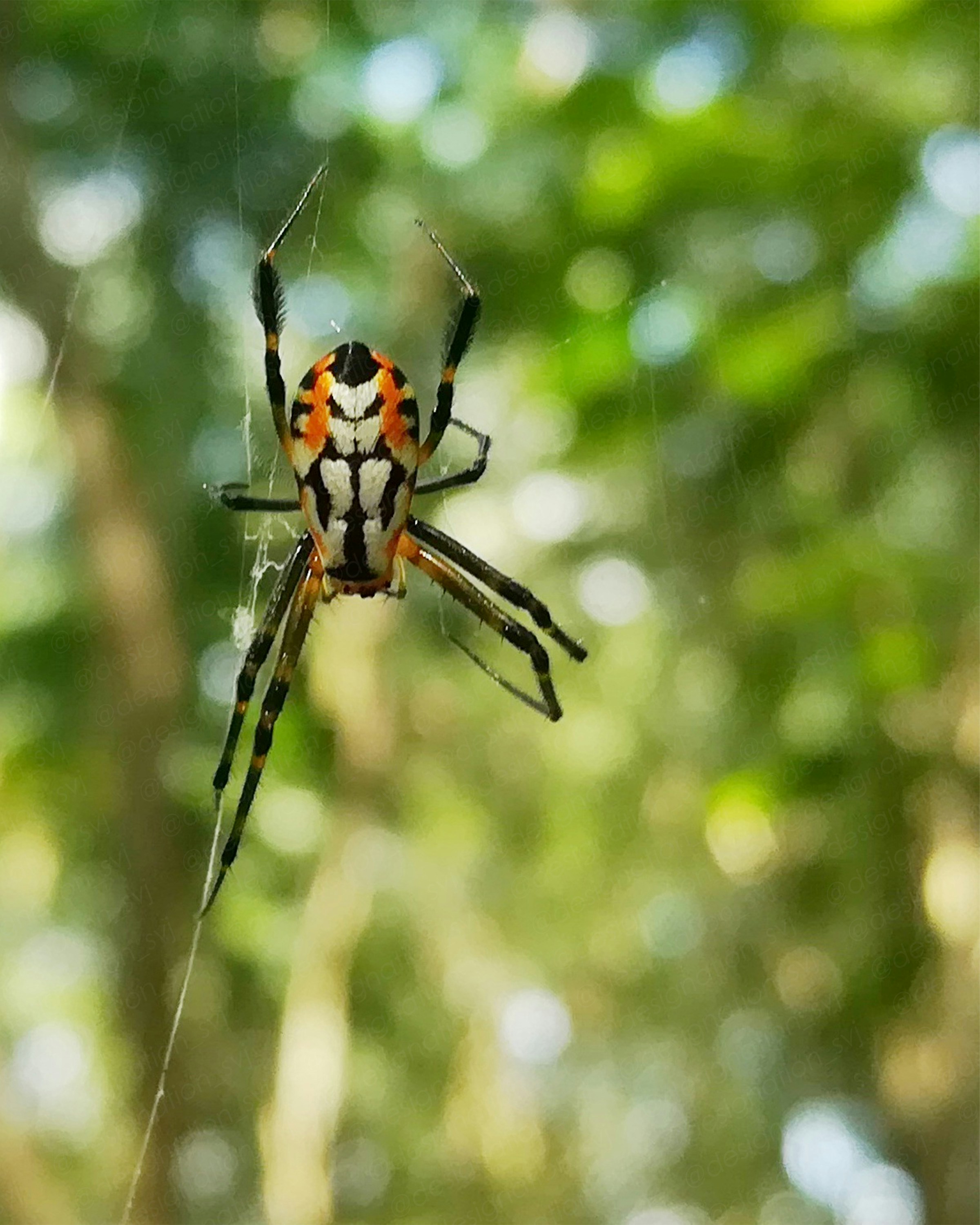 Photo by vidhu_vj_96