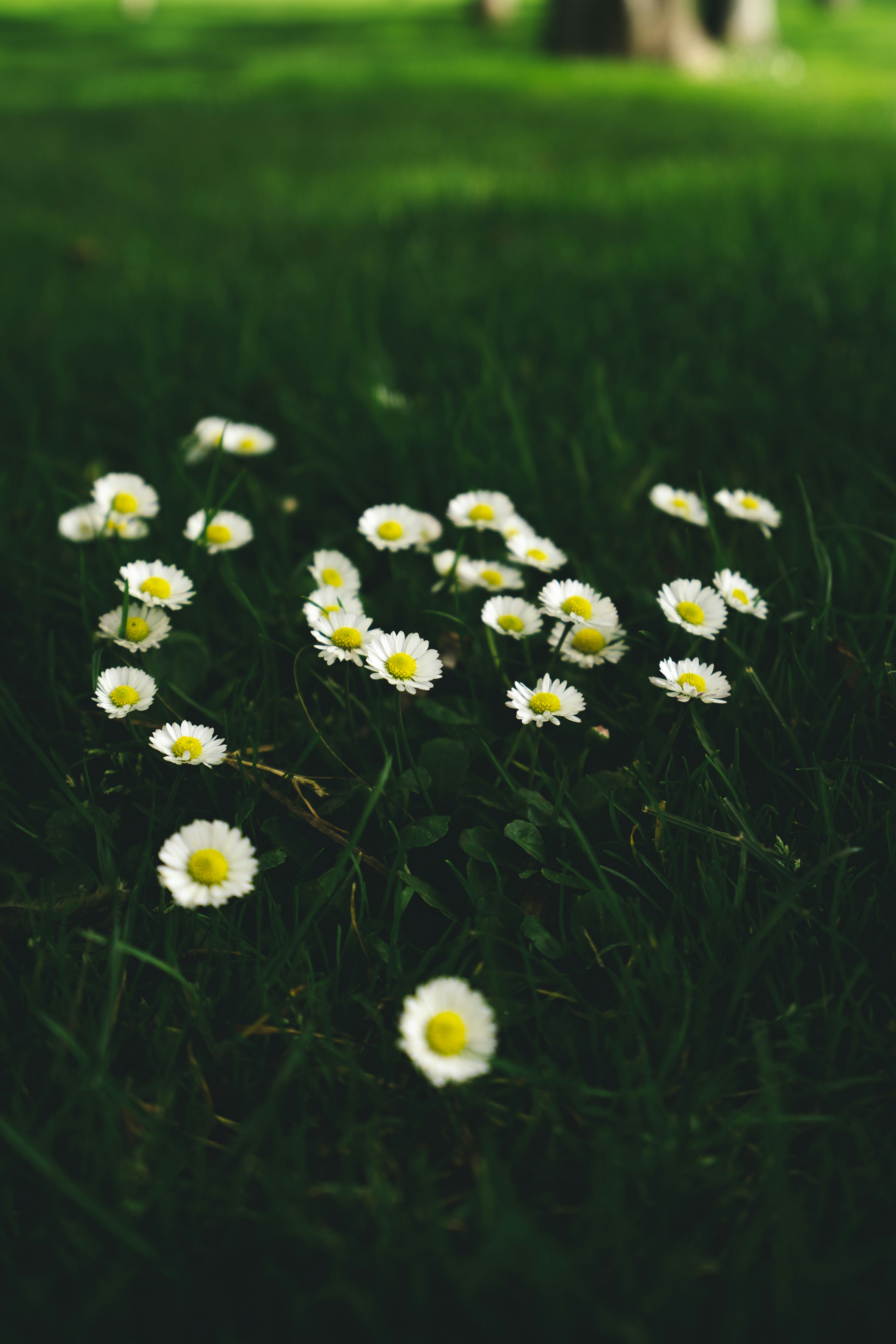 Photo by countingframez