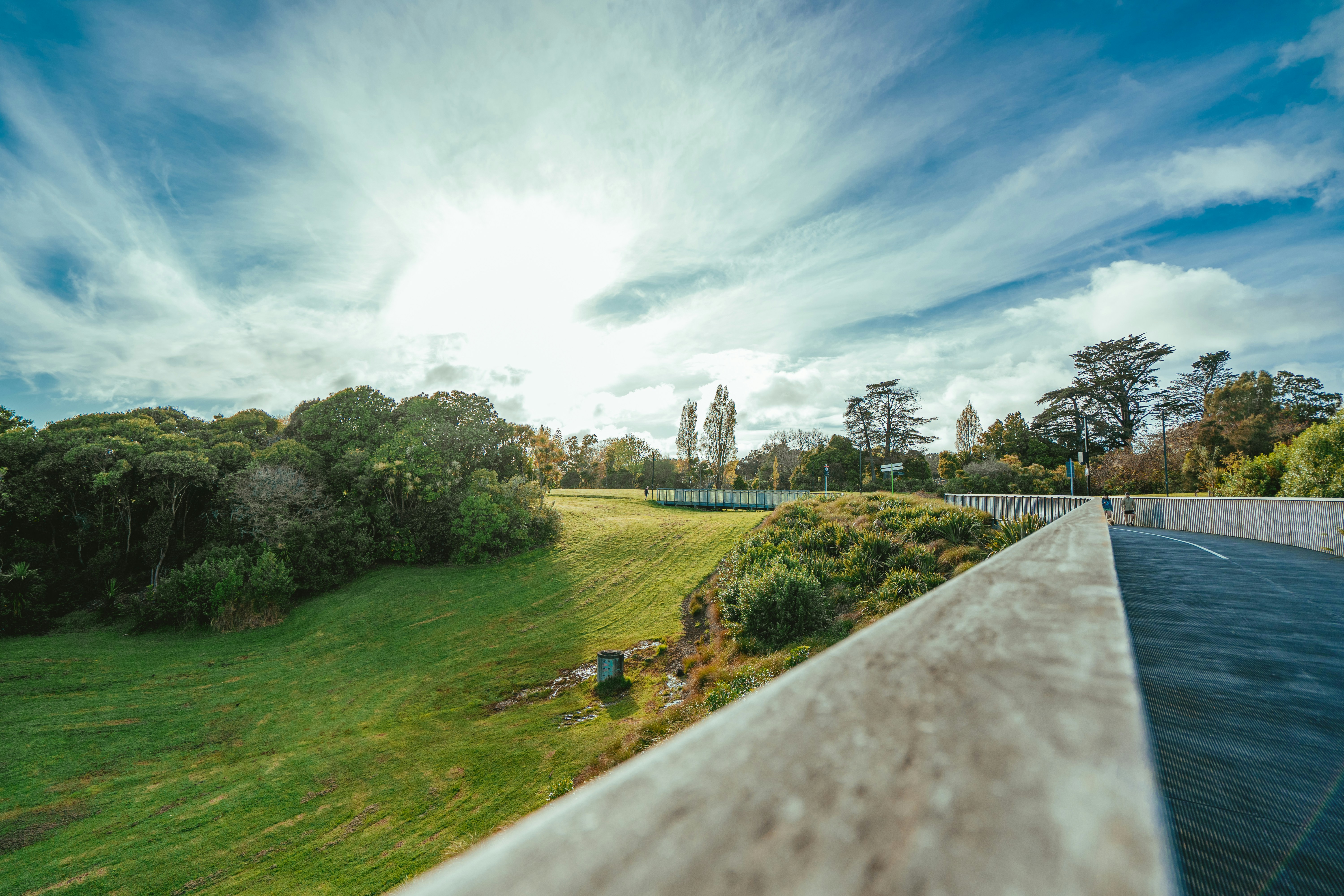 The sun is shining over a grassy field