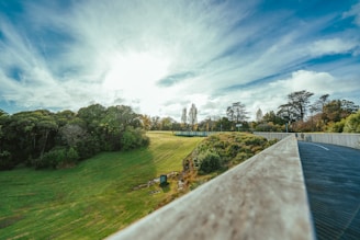 The sun is shining over a grassy field