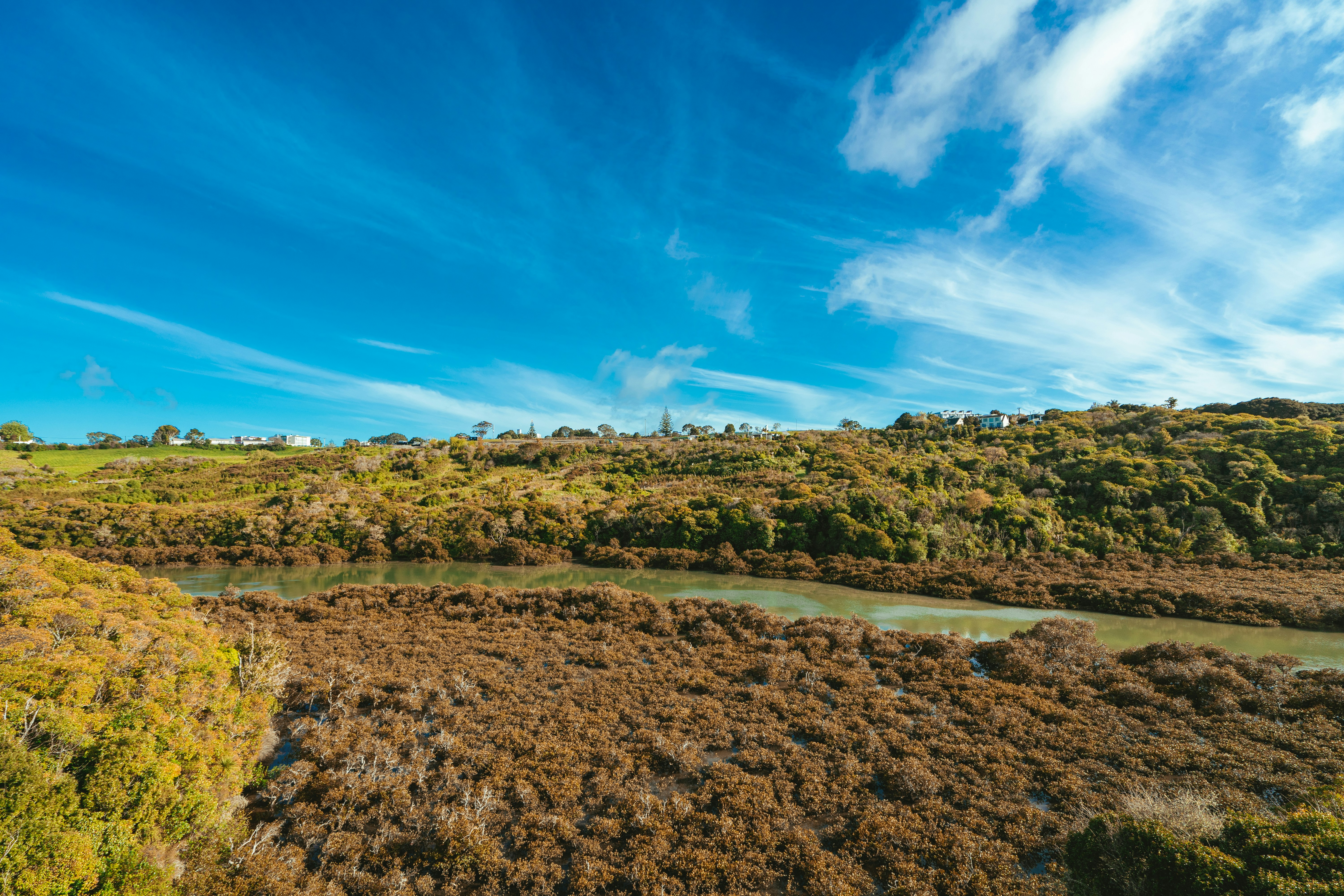 Photo by countingframez