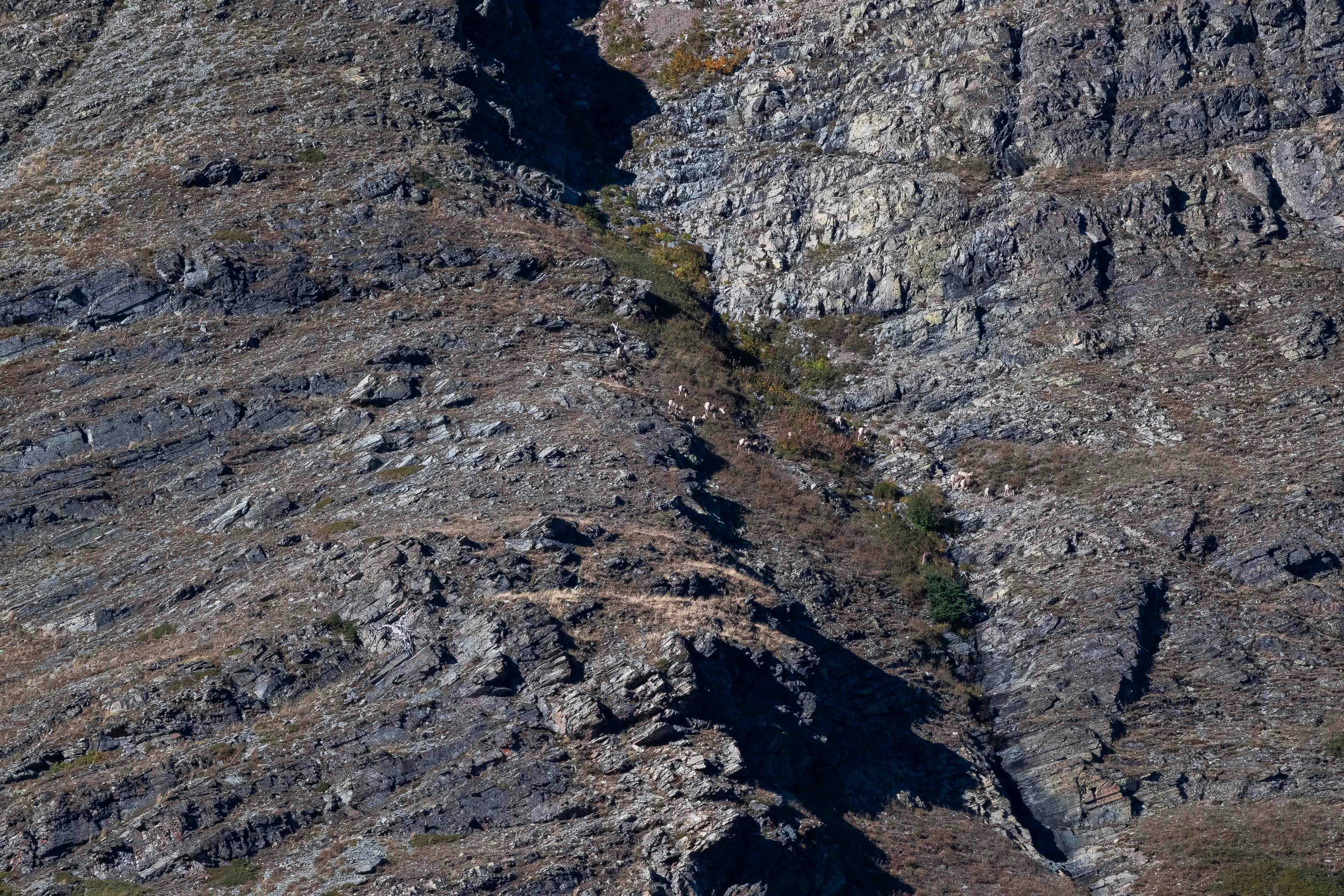 Photo by naveensnaidu25