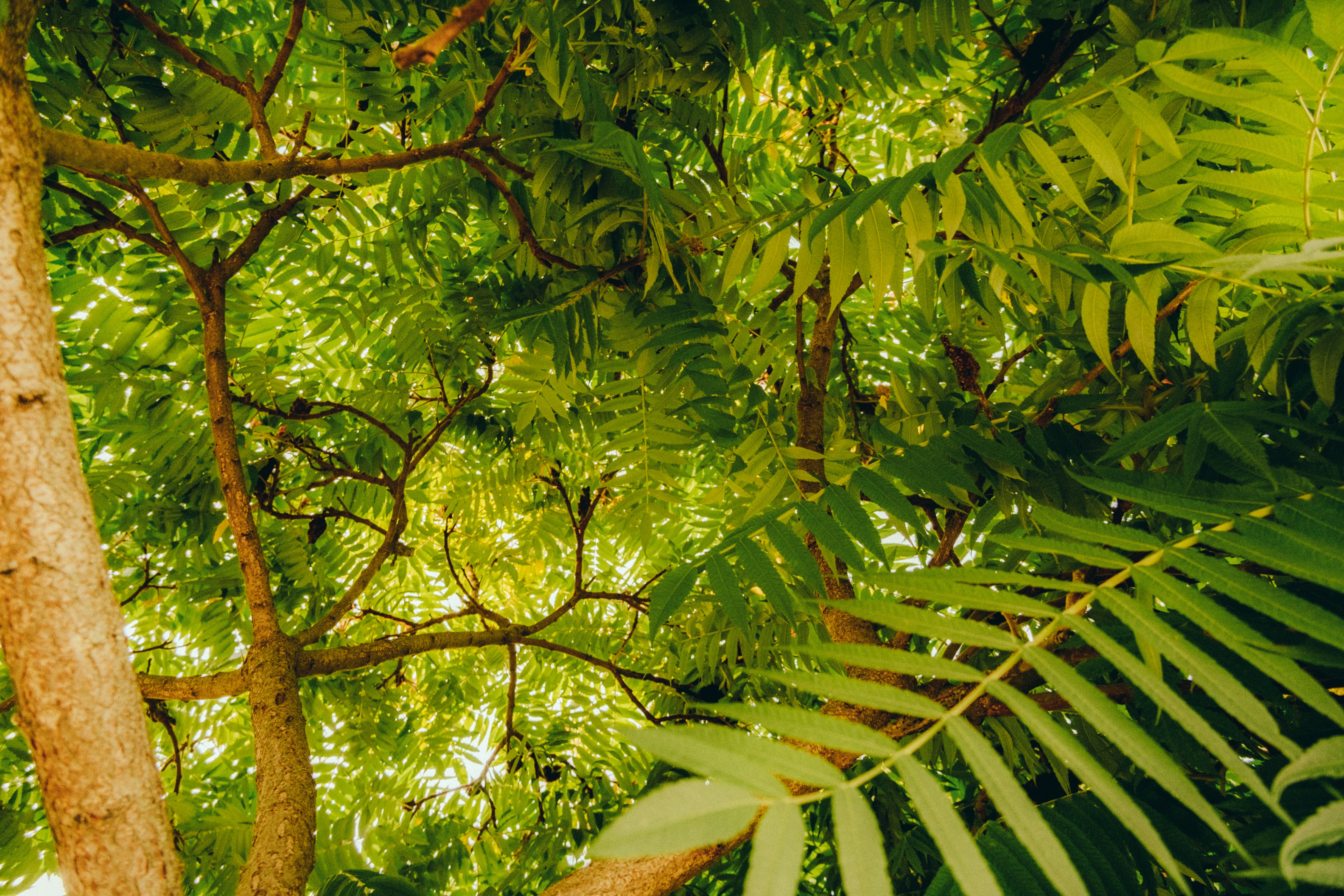 Photo by danilahalorw