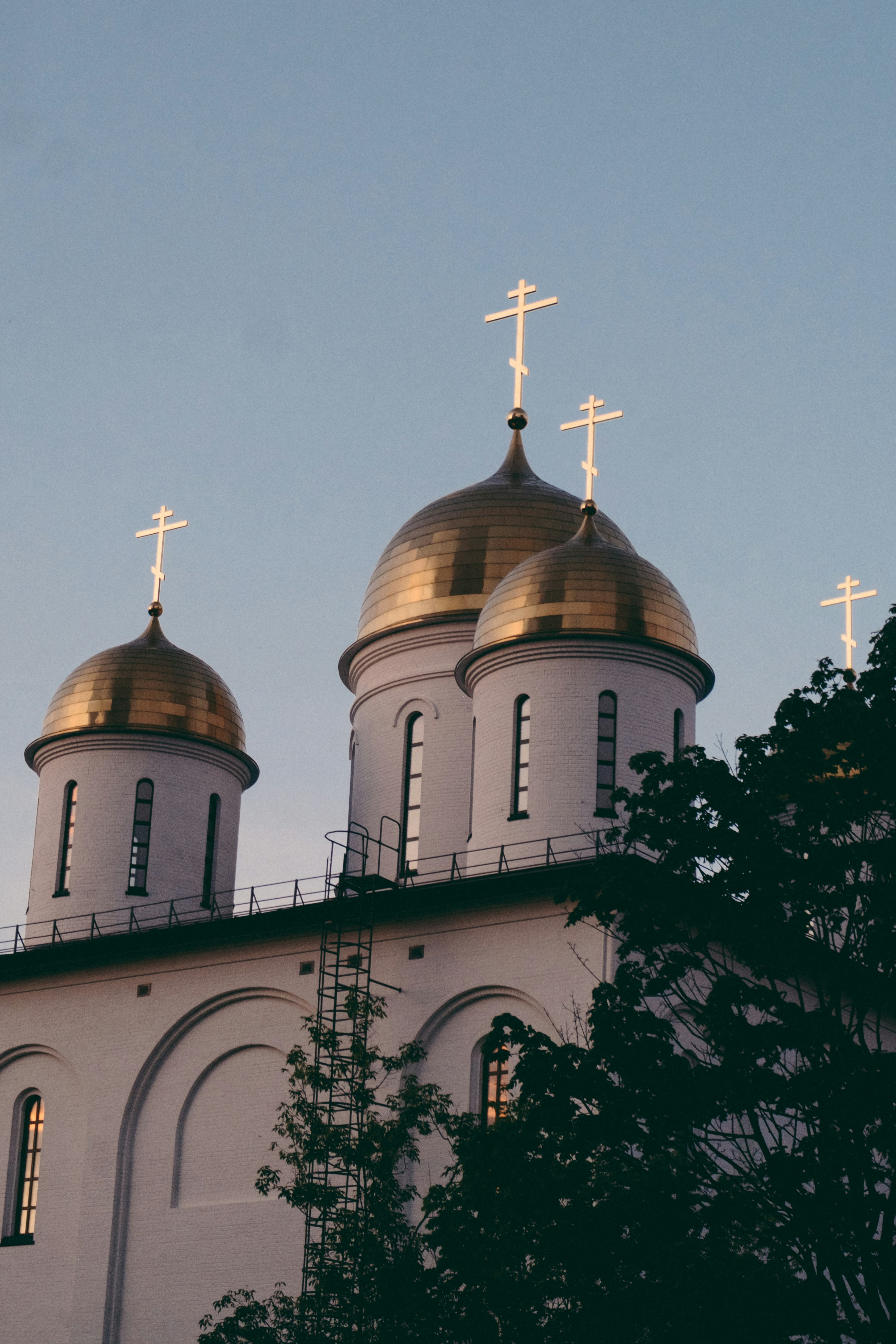 Photo by danilahalorw