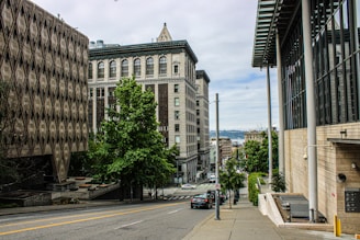 A city street lined with tall buildings