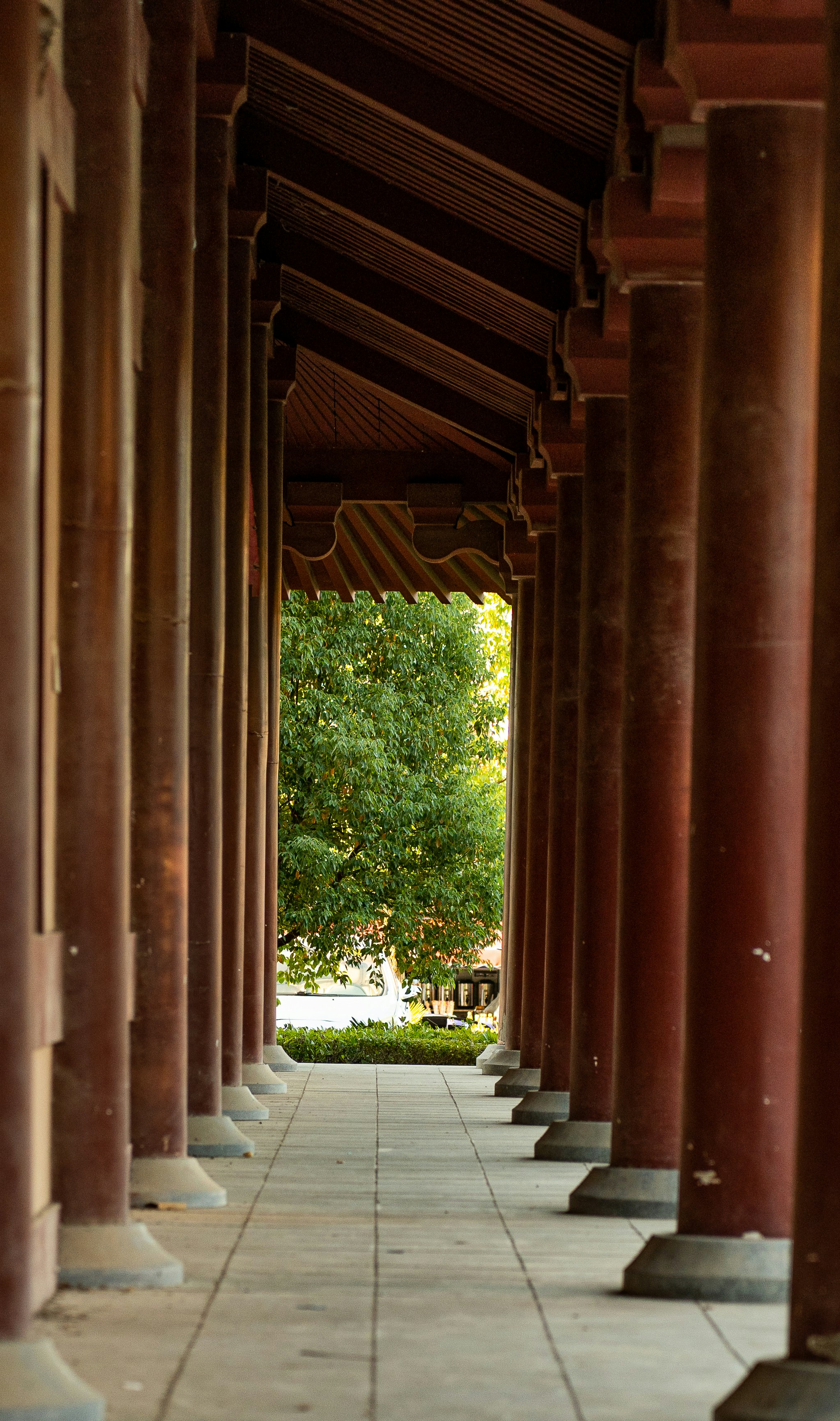 Photo by tanglee