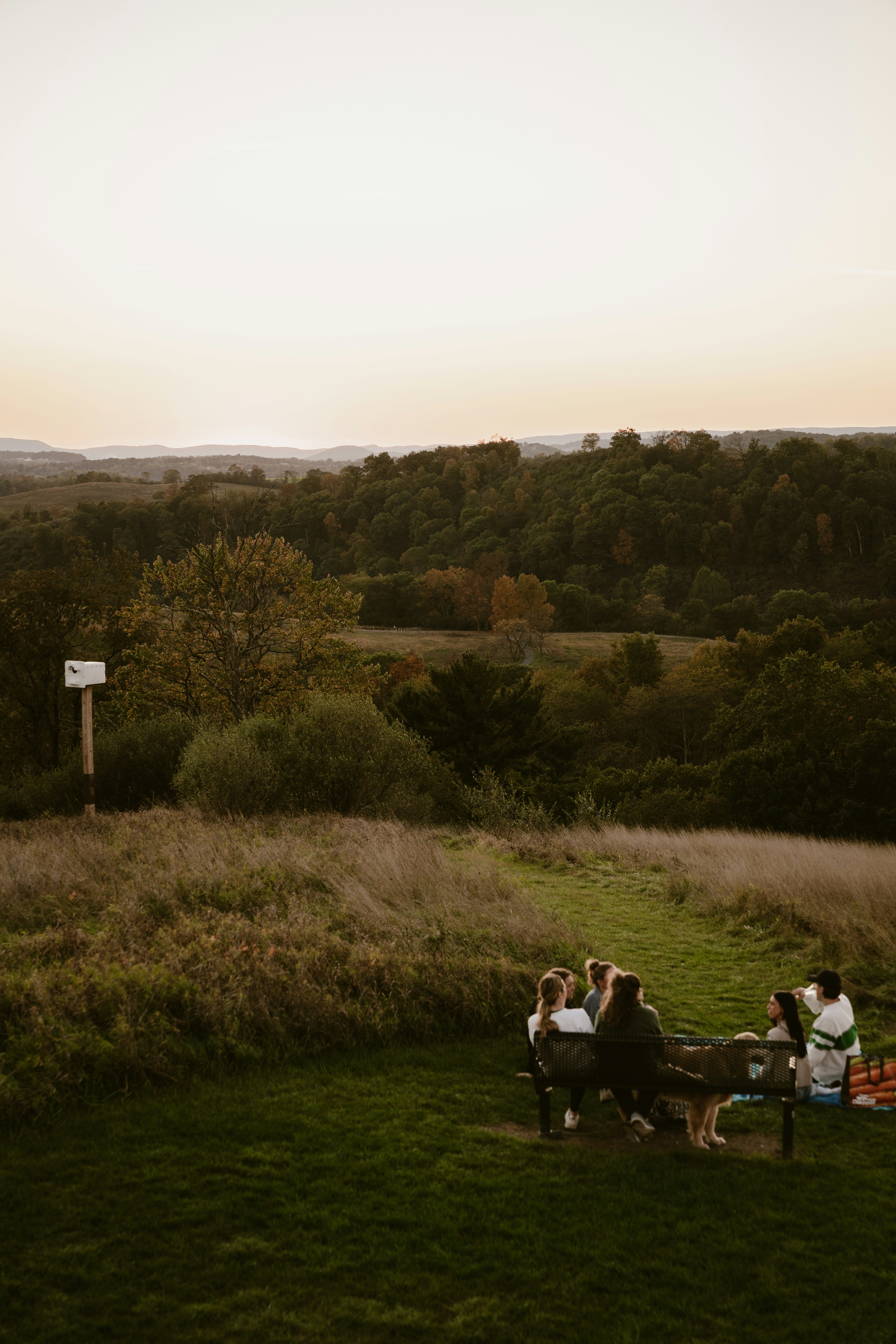 A group of people sitting on top of a lush green field