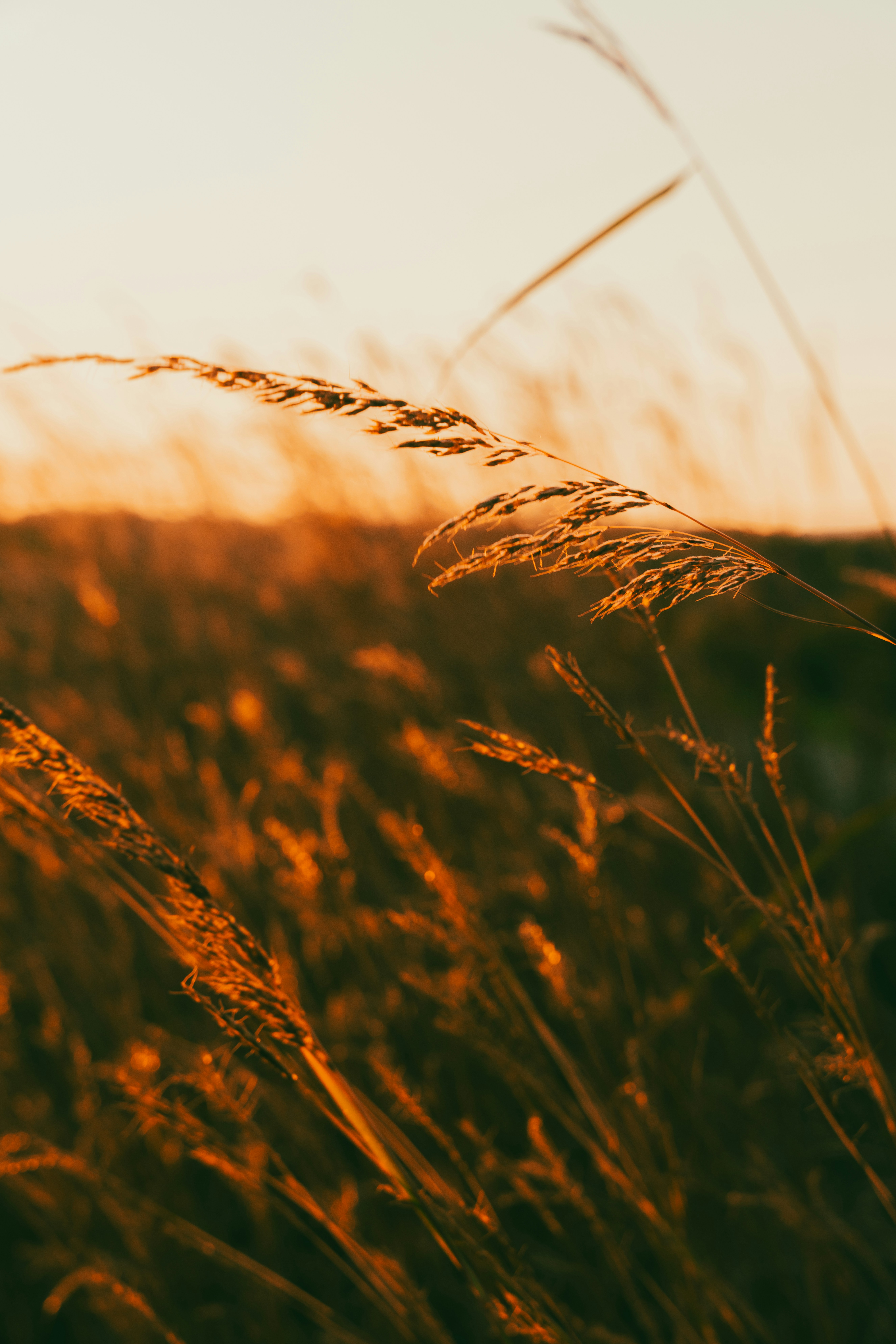 Photo by nellie_adamyan